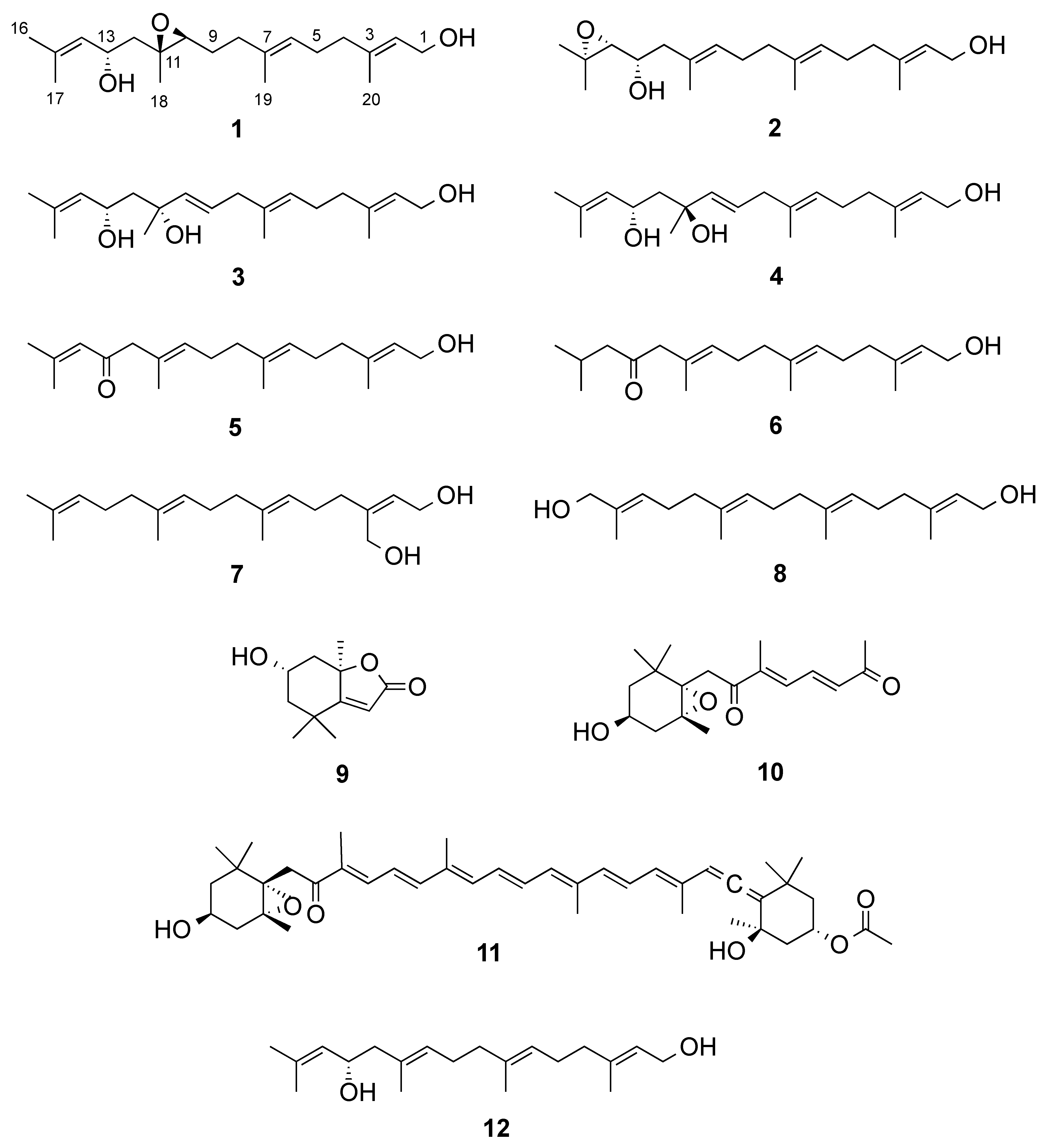 Marinedrugs 19 00042 g001