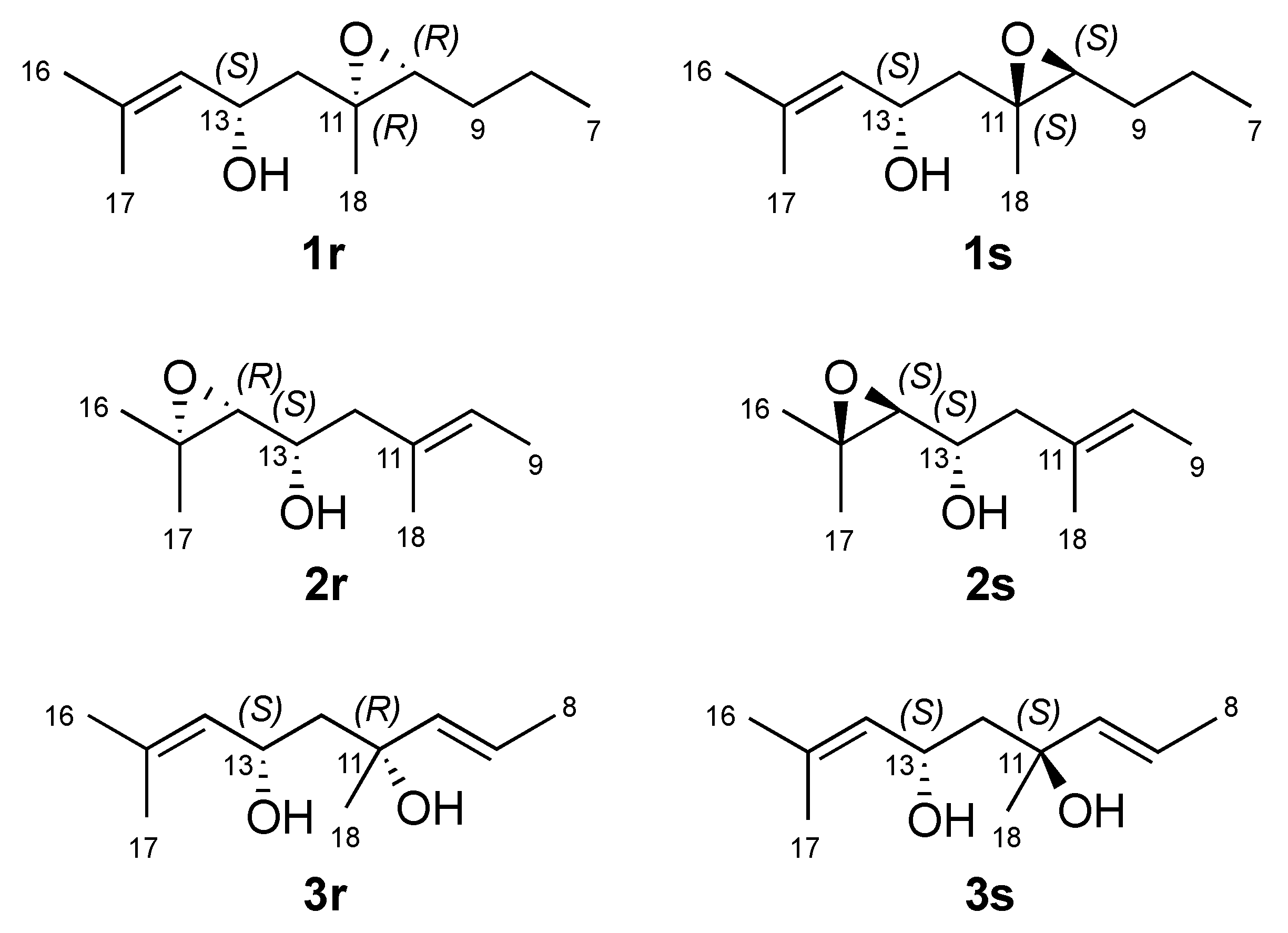 Marinedrugs 19 00042 g002