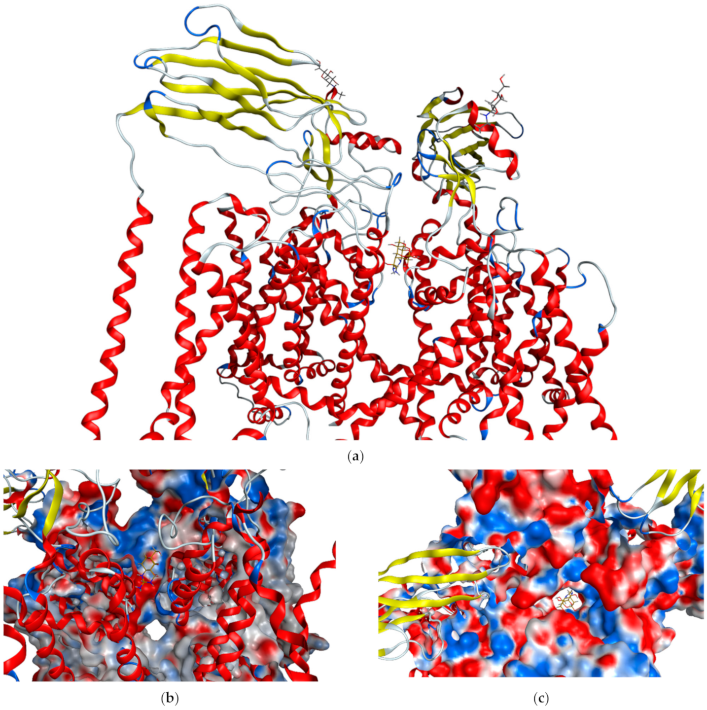 Marinedrugs 19 00047 g002