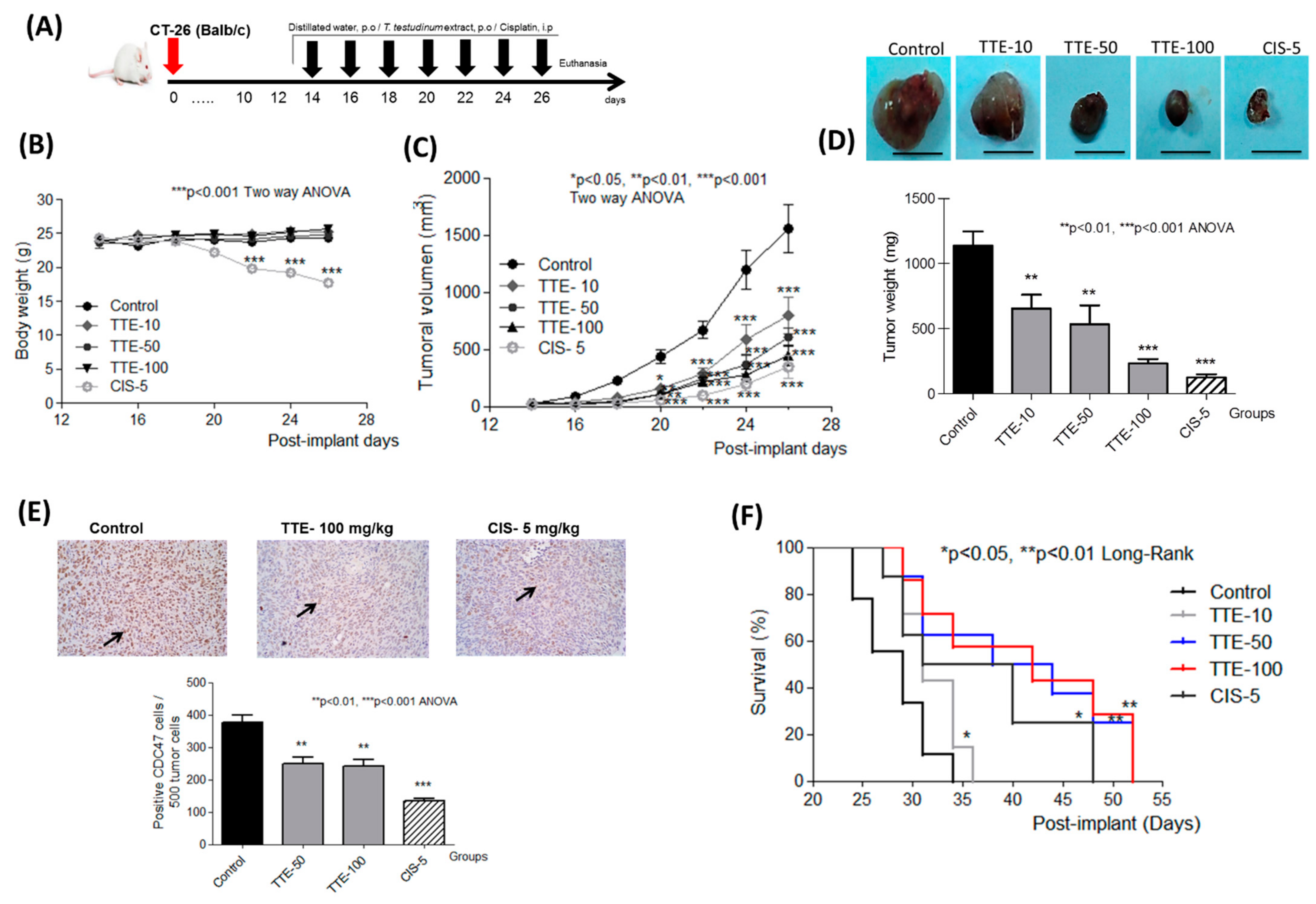 Marinedrugs 19 00052 g005