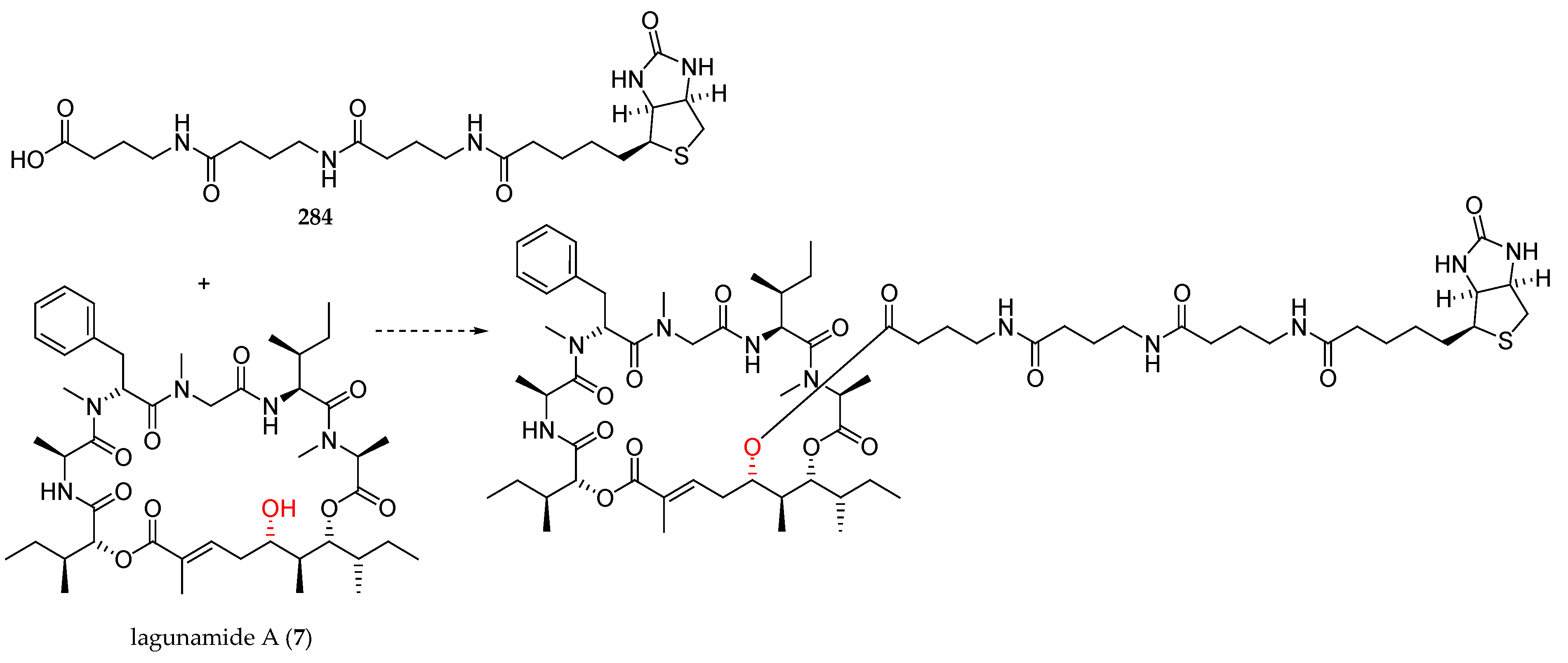 Marinedrugs 19 00055 g008