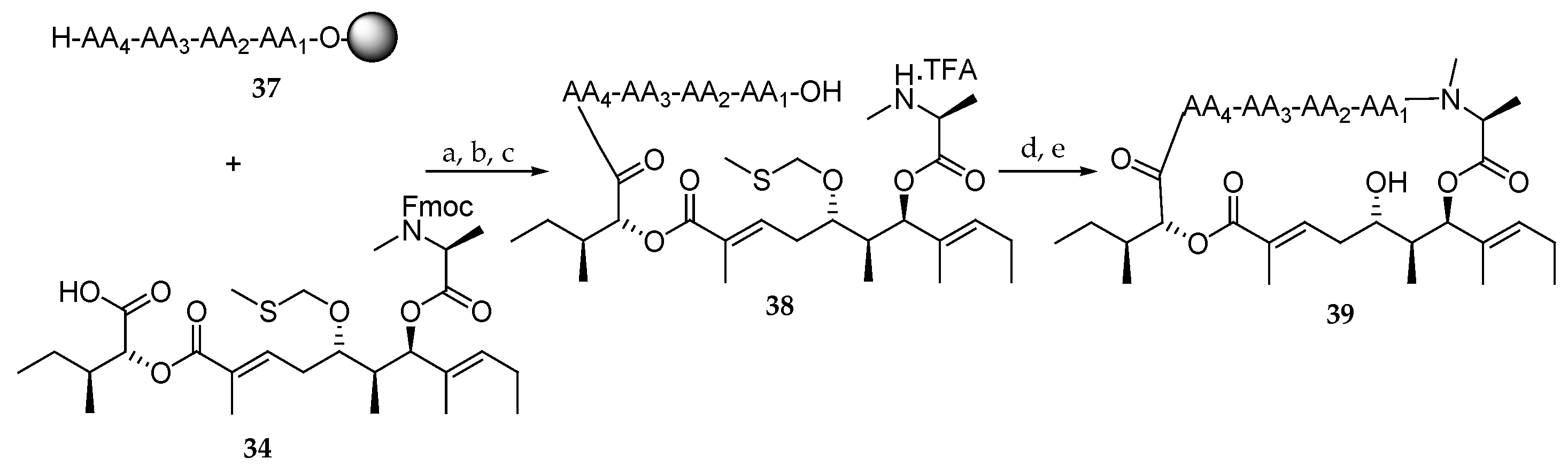 Marinedrugs 19 00055 sch007