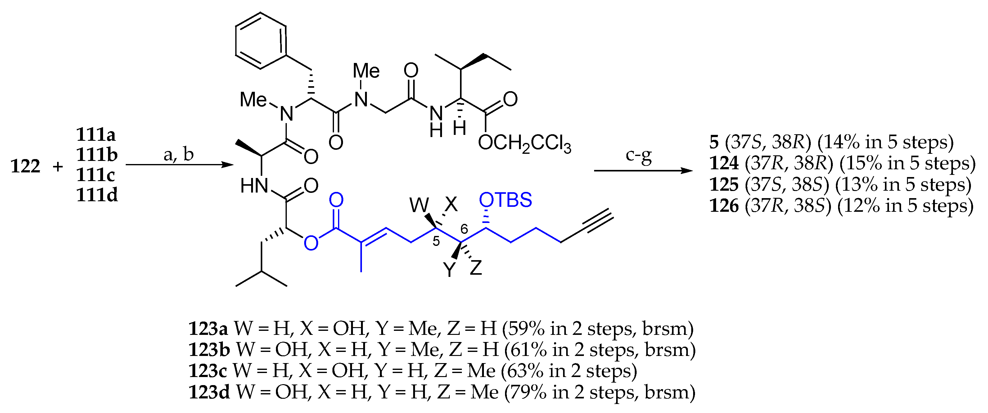 Marinedrugs 19 00055 sch019