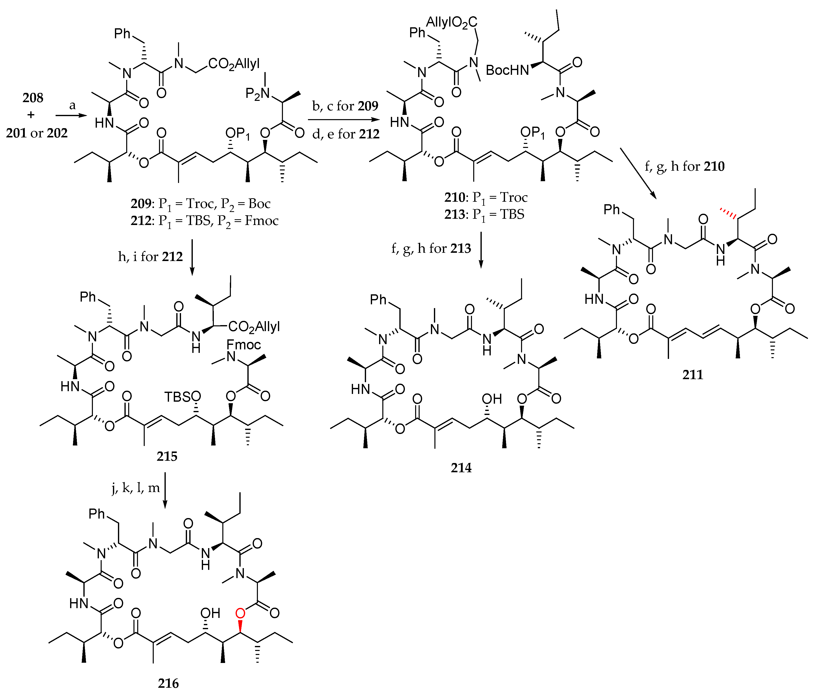 Marinedrugs 19 00055 sch031
