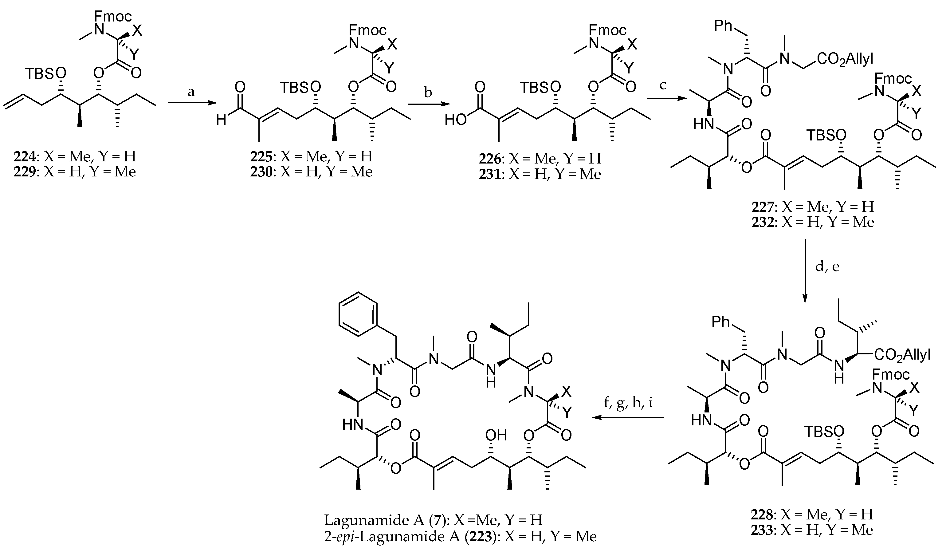 Marinedrugs 19 00055 sch033