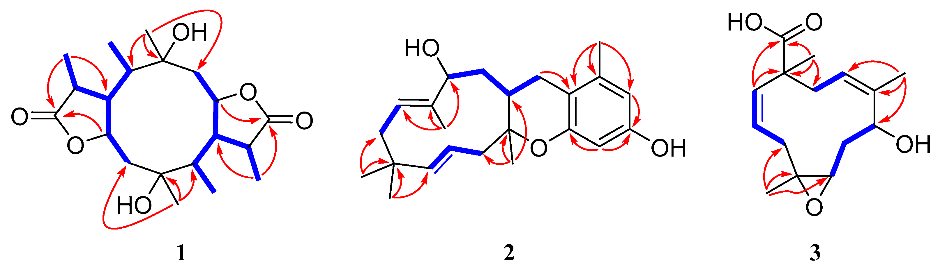 Marinedrugs 19 00056 g002