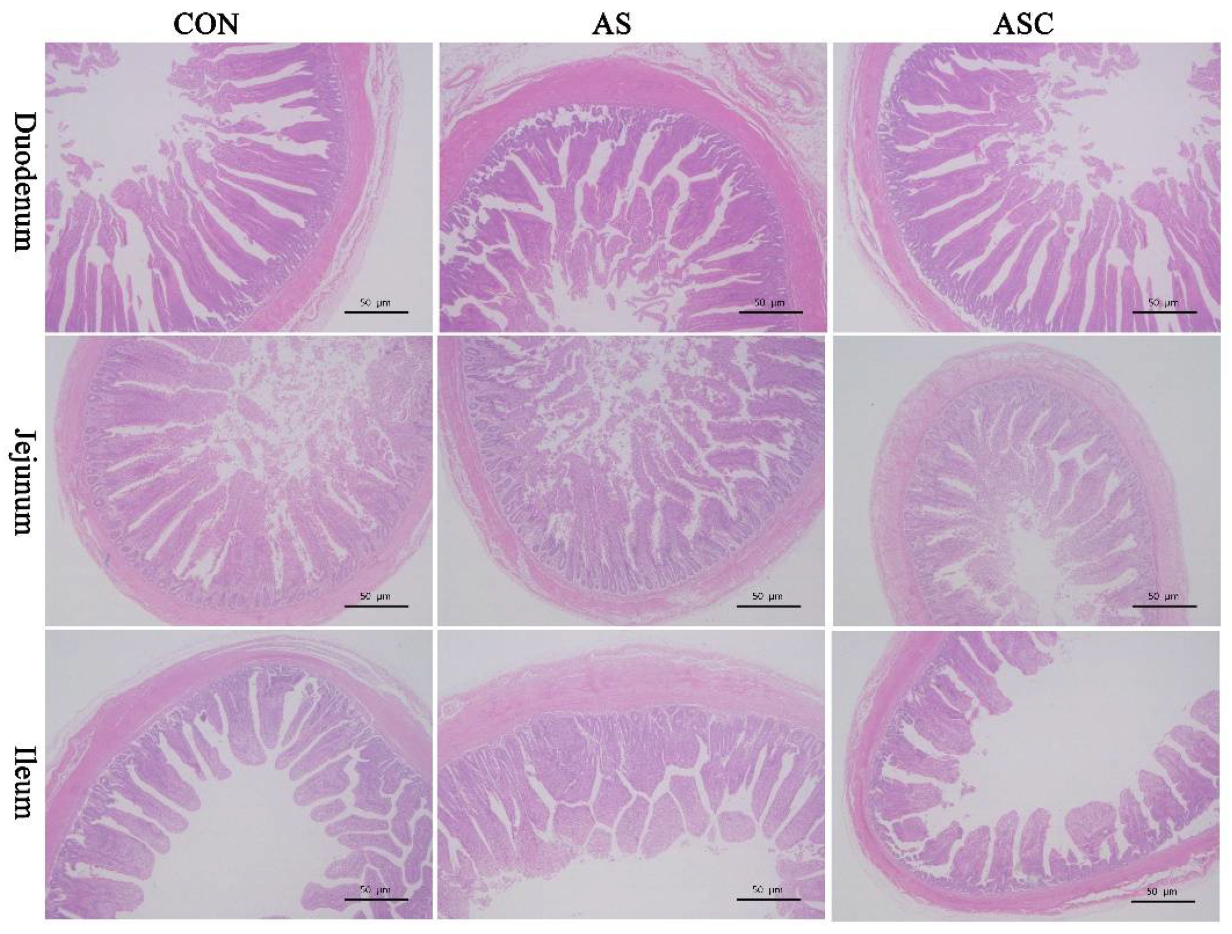Marinedrugs 19 00057 g001