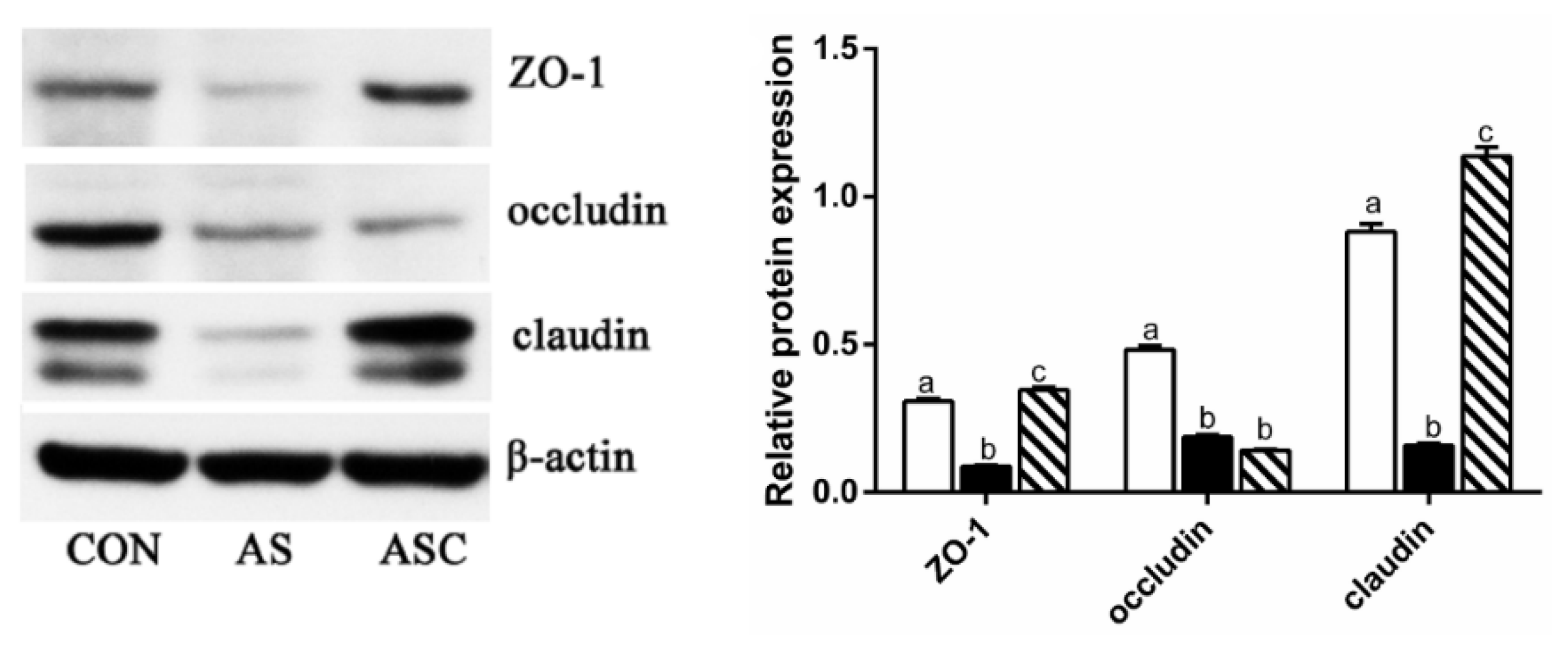 Marinedrugs 19 00057 g008