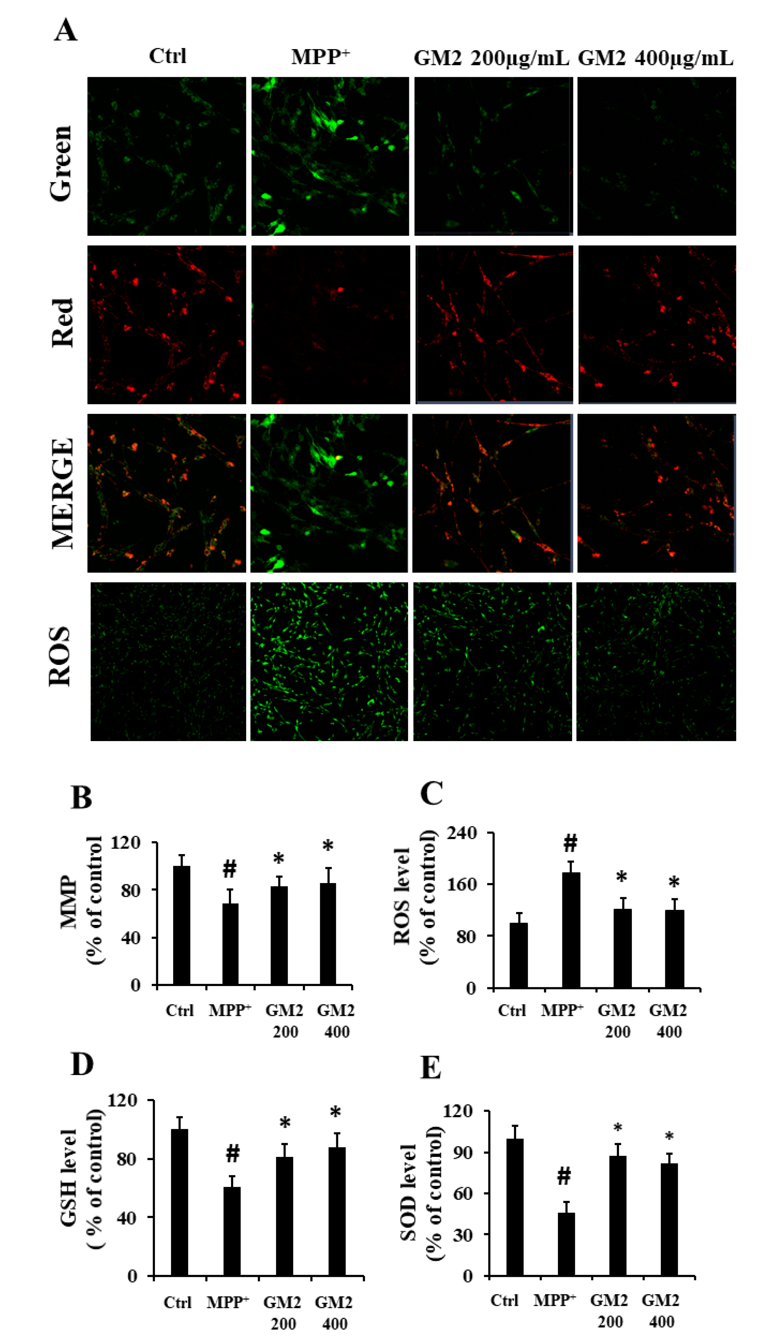 Marinedrugs 19 00058 g002 Marinedrugs 19 00058 g002