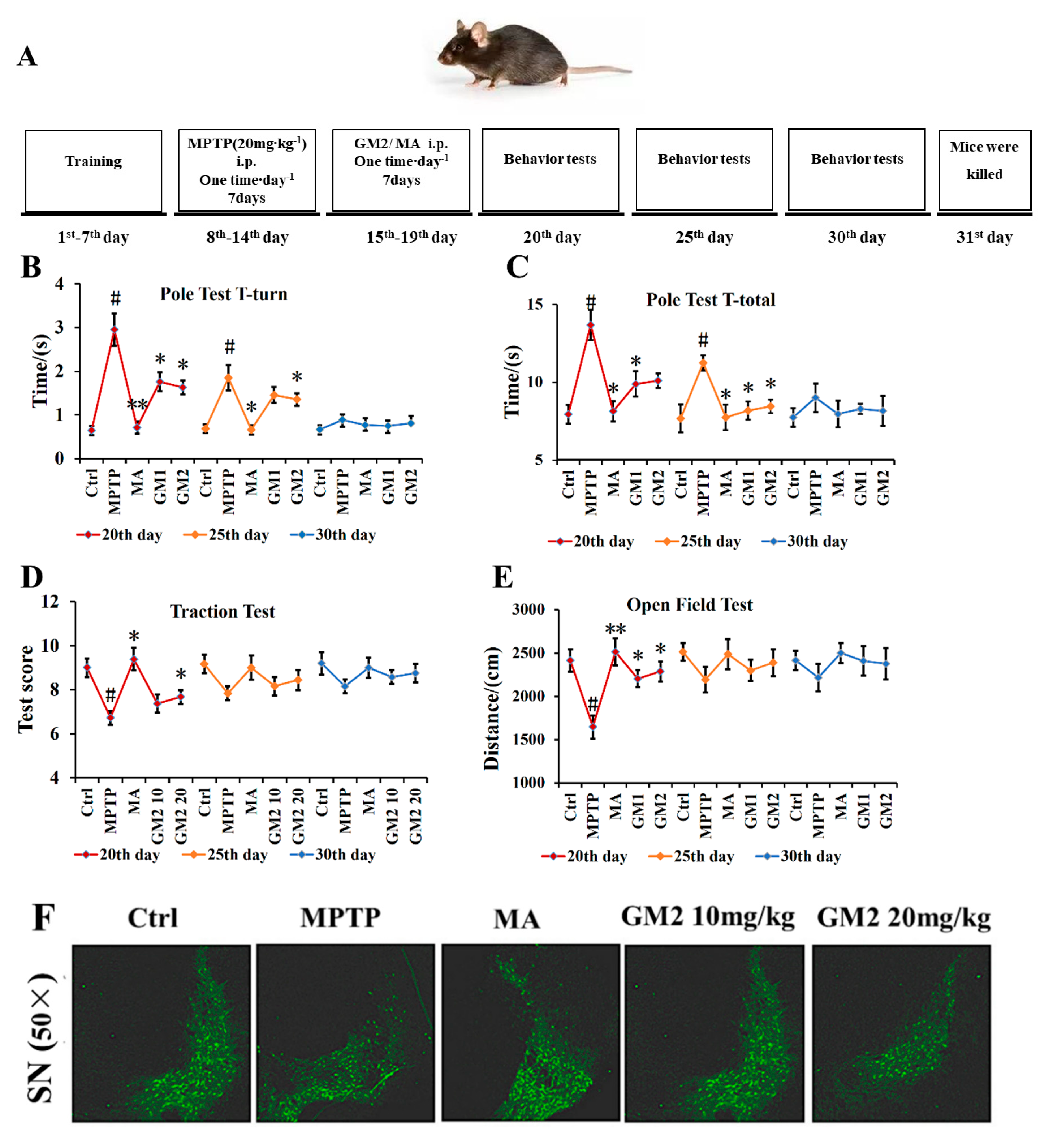 Marinedrugs 19 00058 g006 Marinedrugs 19 00058 g006