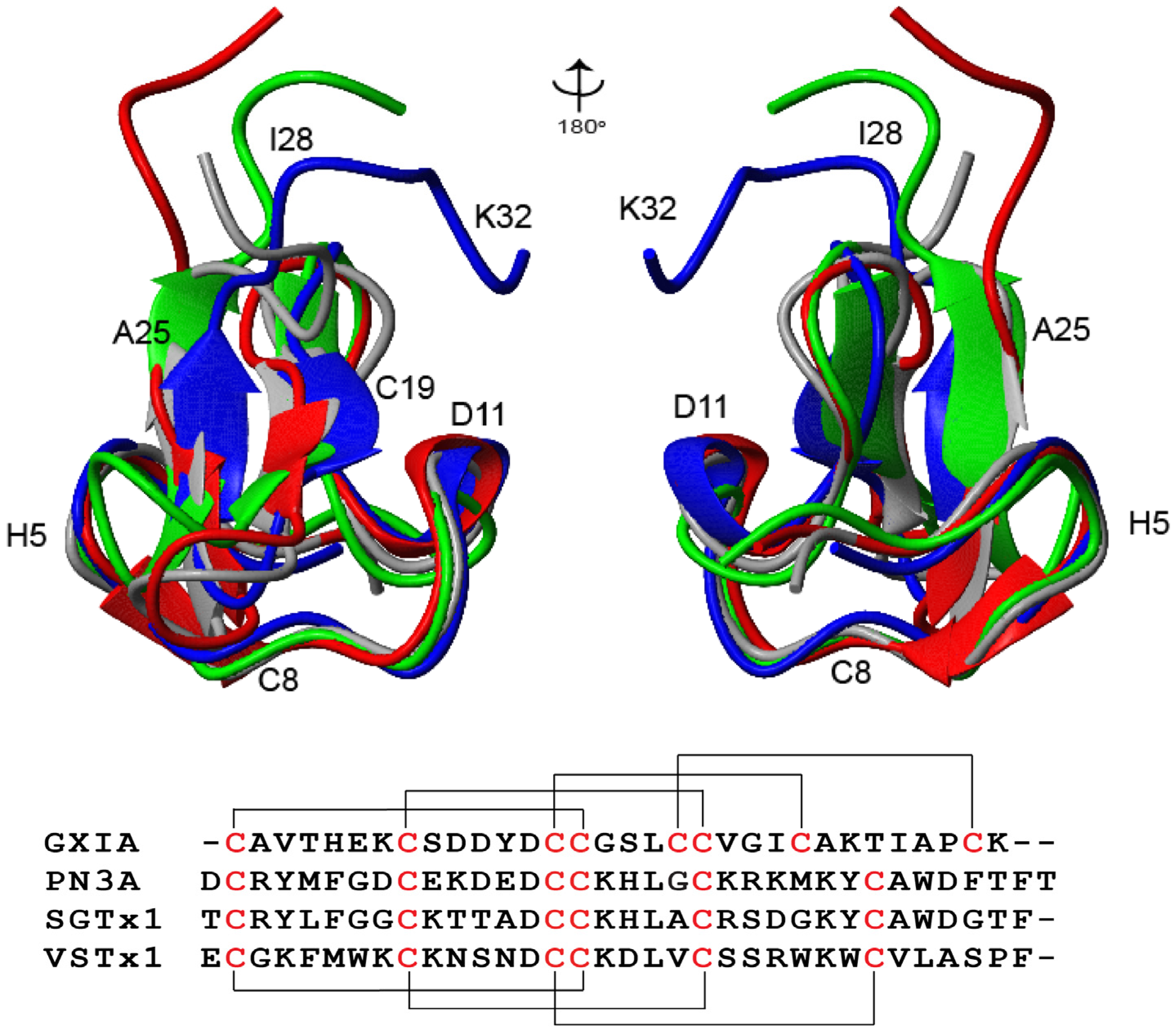 Marinedrugs 19 00060 g006