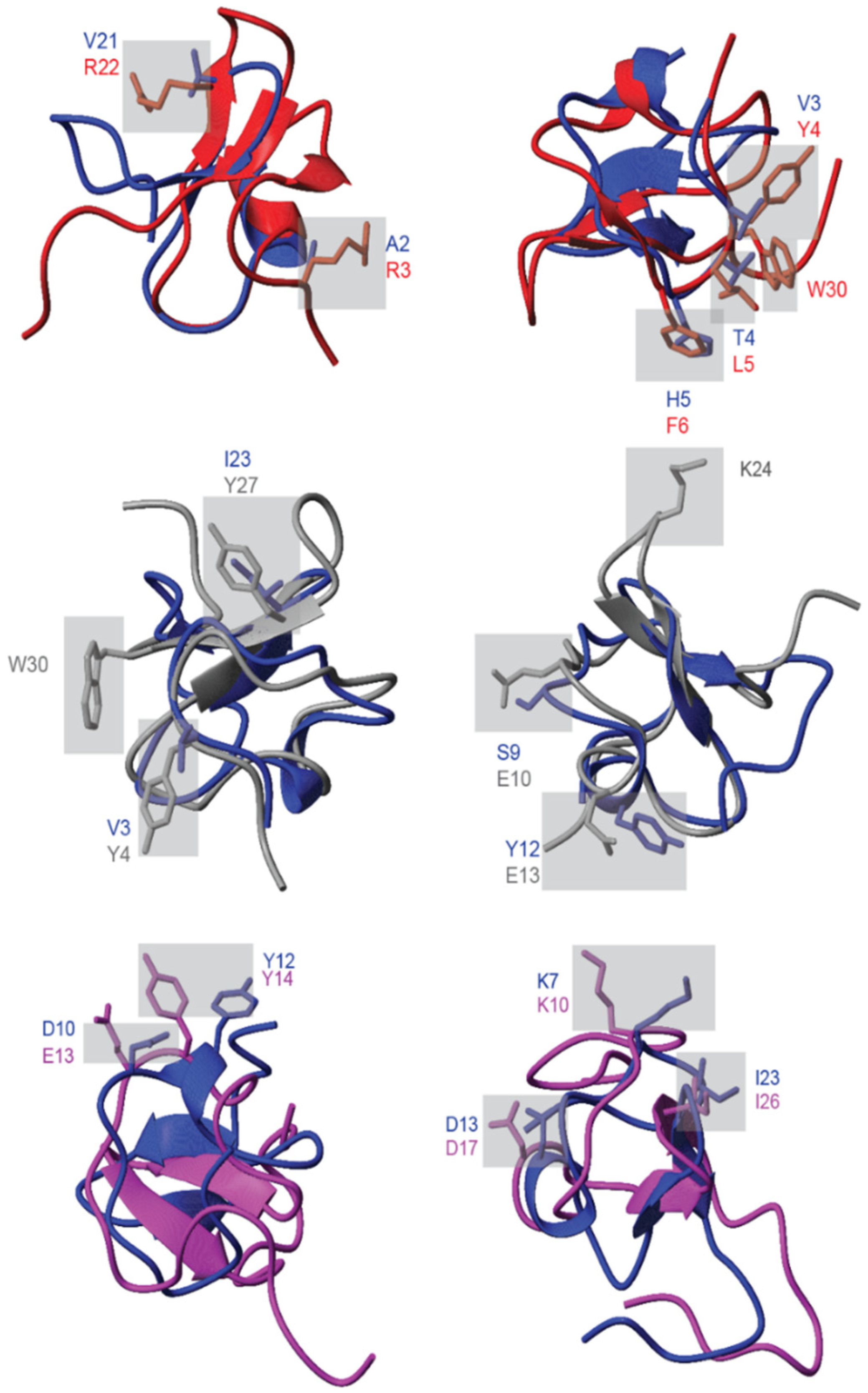Marinedrugs 19 00060 g008
