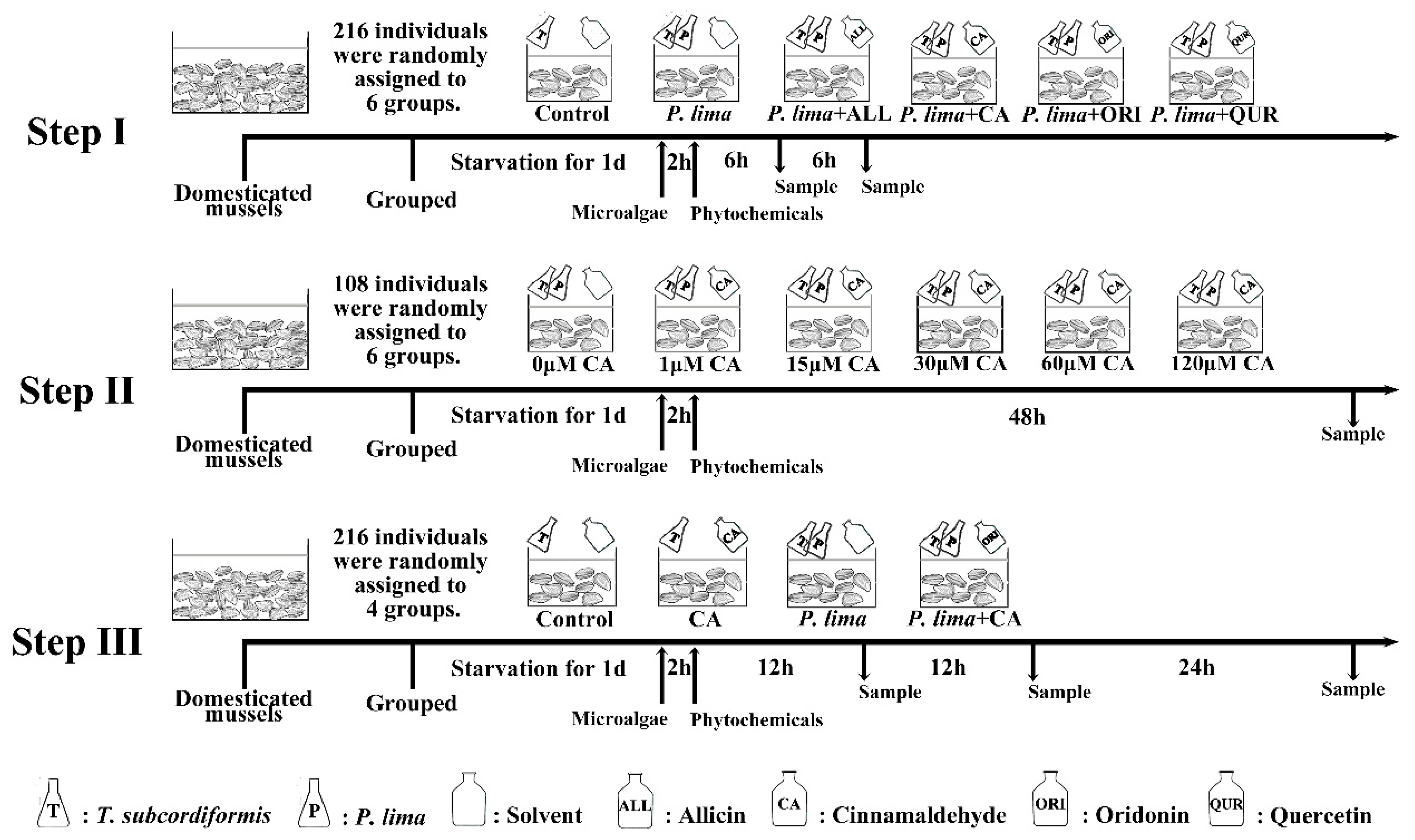 Marinedrugs 19 00063 g005