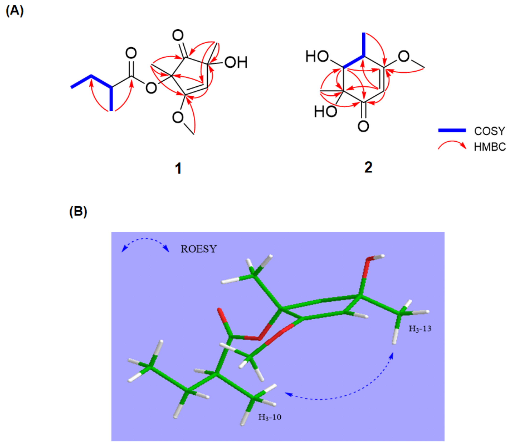 Marinedrugs 19 00065 g002