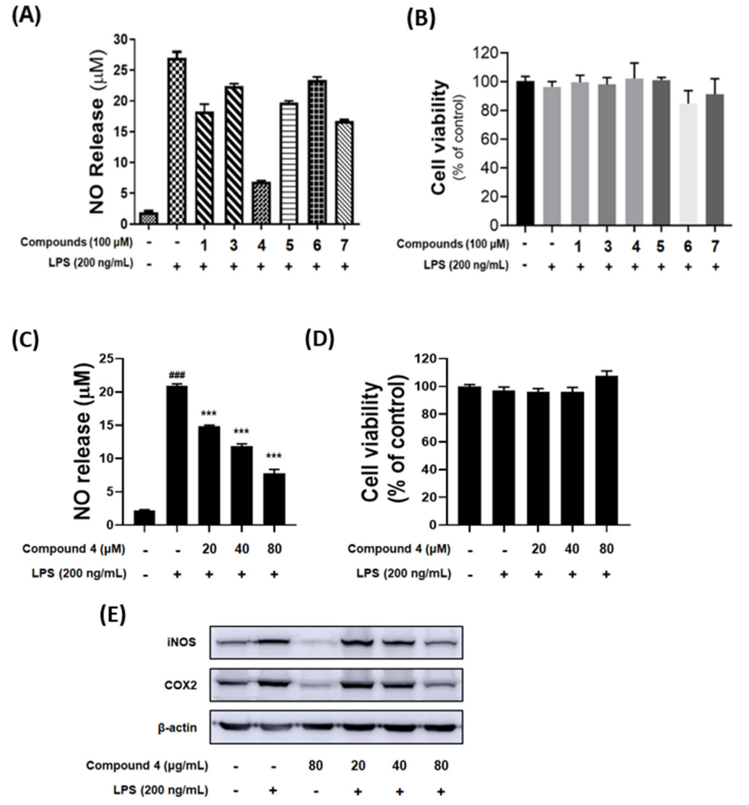 Marinedrugs 19 00065 g006