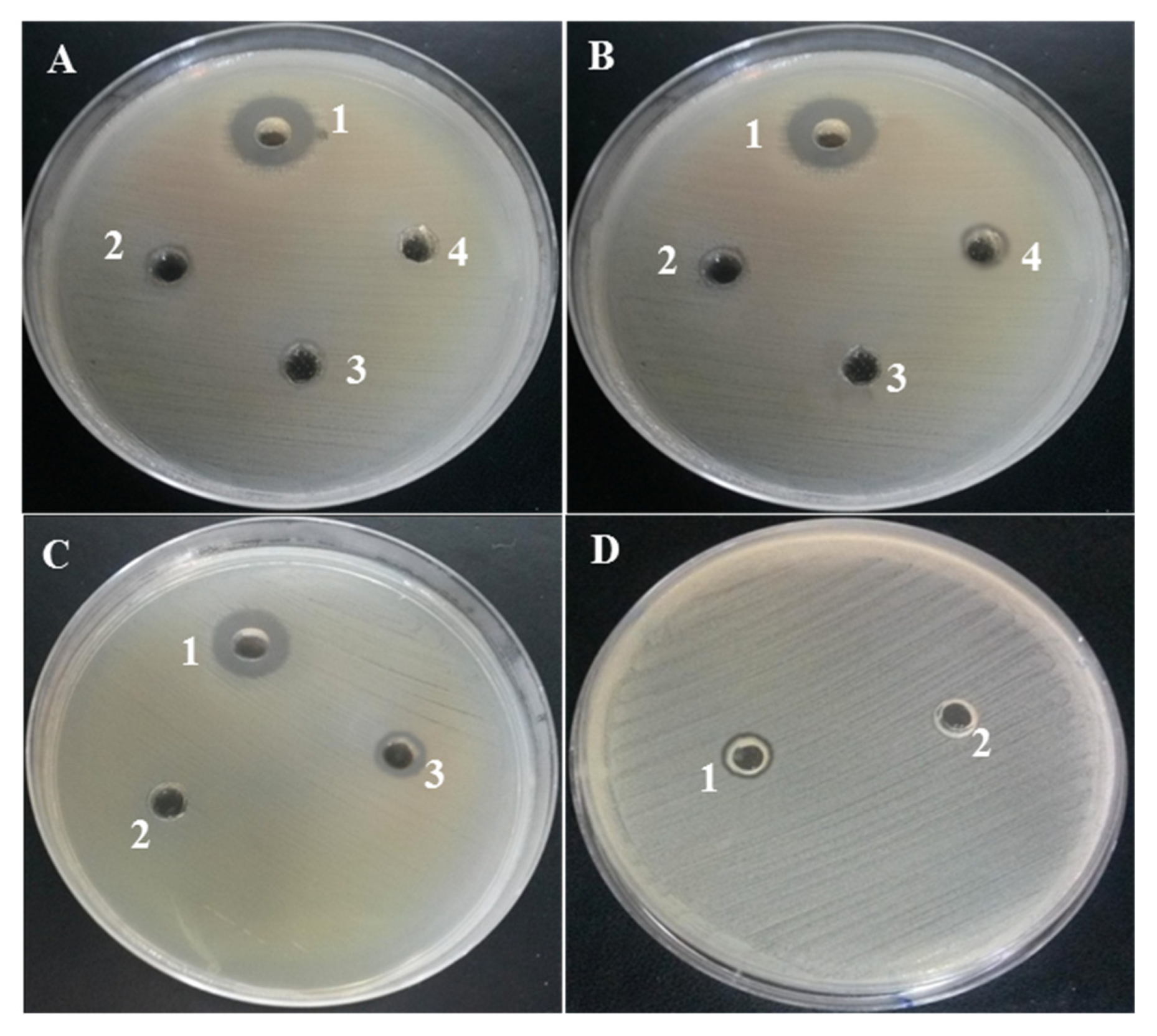 Marinedrugs 19 00066 g003