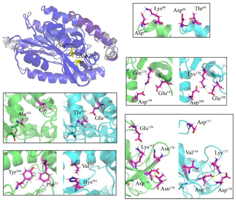 Marinedrugs 19 00067 g002