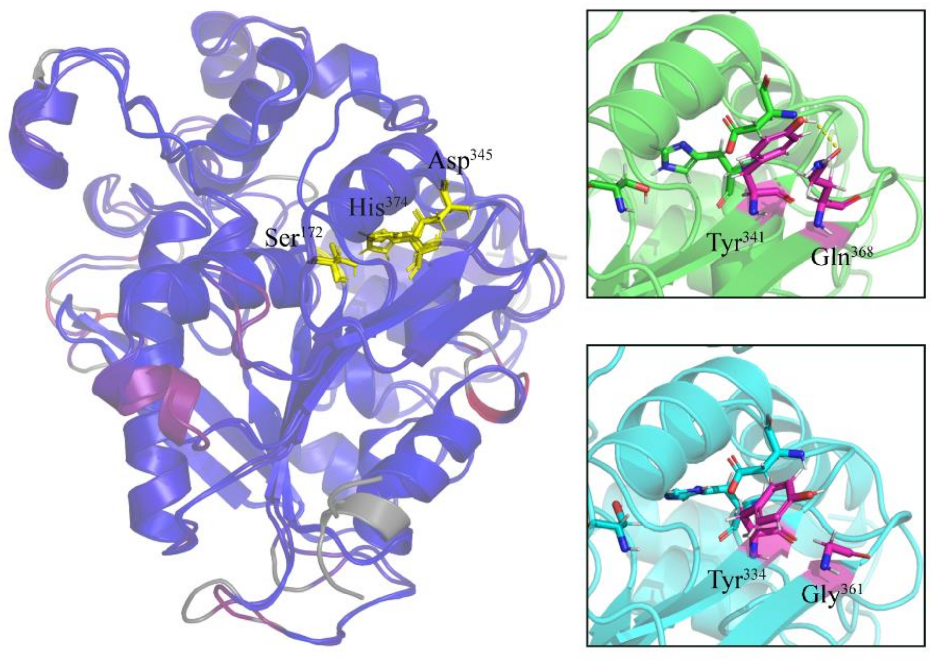 Marinedrugs 19 00067 g003