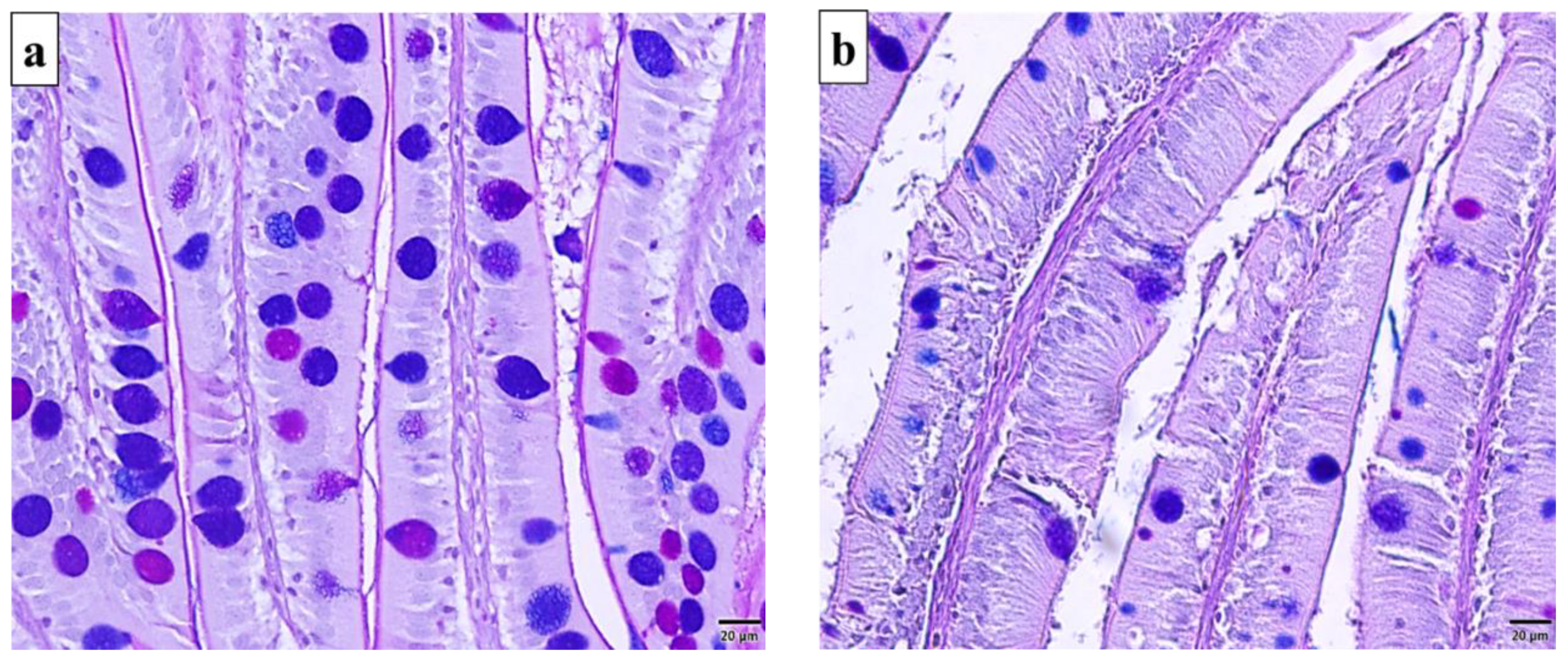 Marinedrugs 19 00072 g002