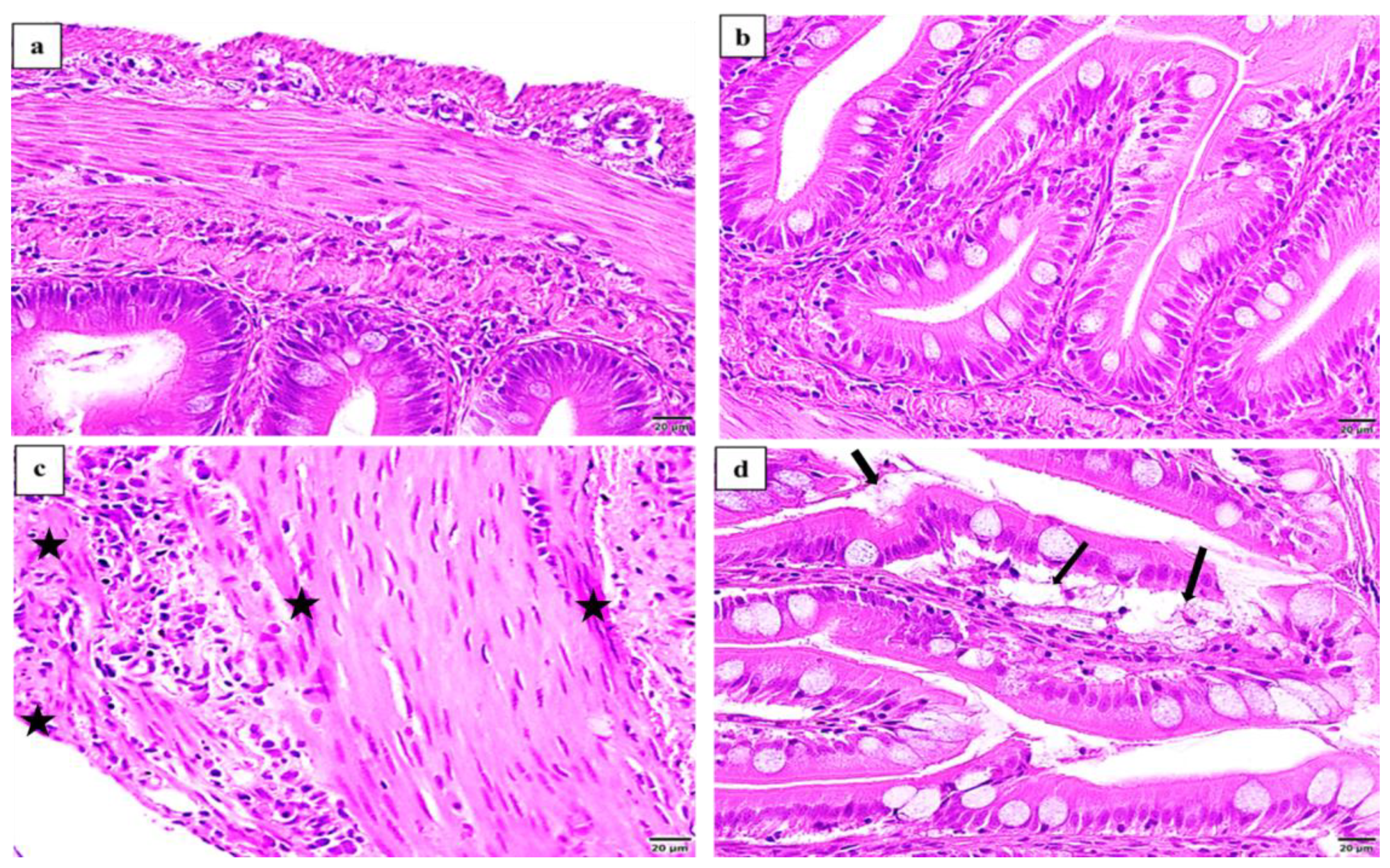 Marinedrugs 19 00072 g010