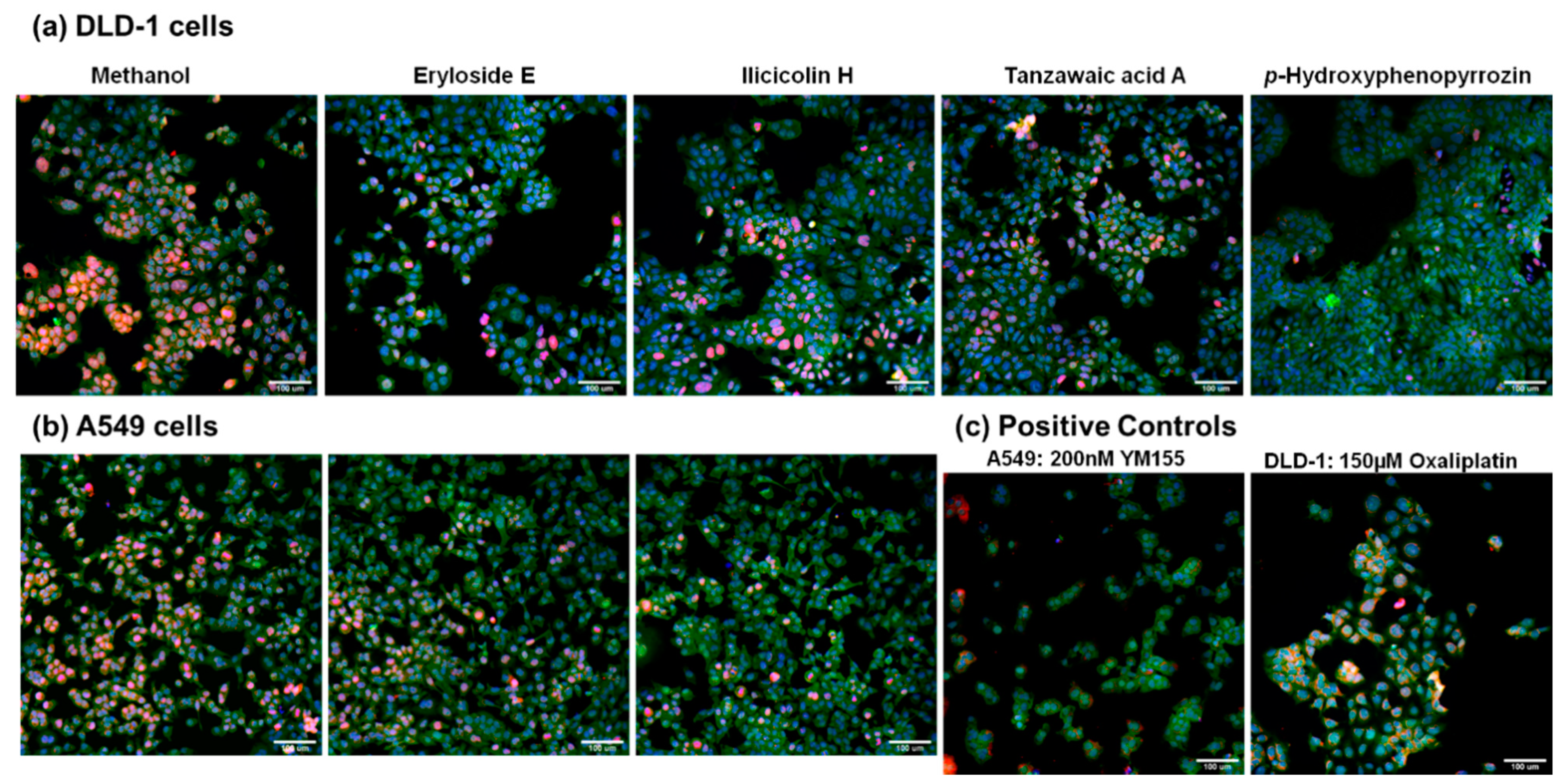 Marinedrugs 19 00073 g002