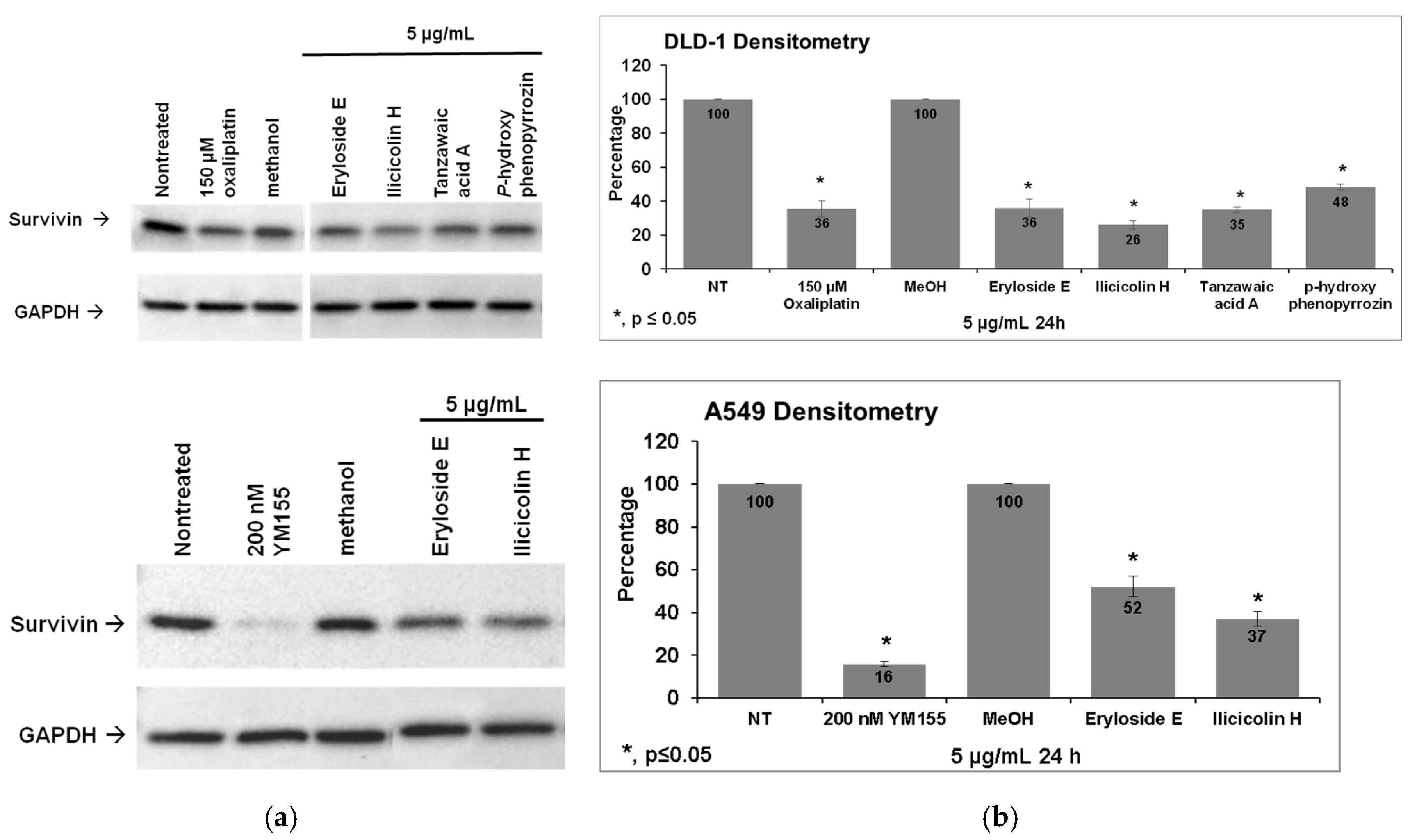 Marinedrugs 19 00073 g003