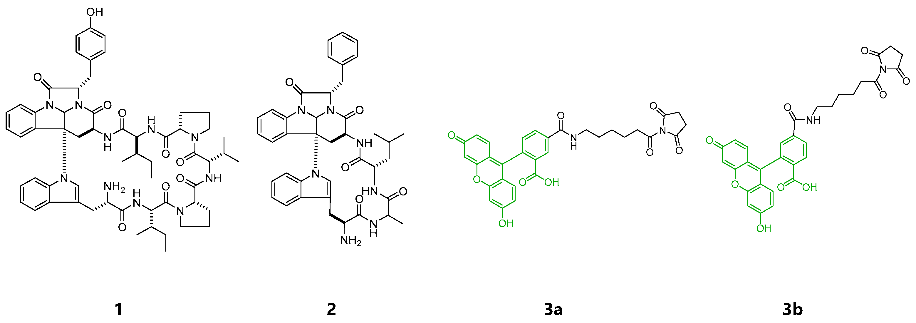 Marinedrugs 19 00076 g001