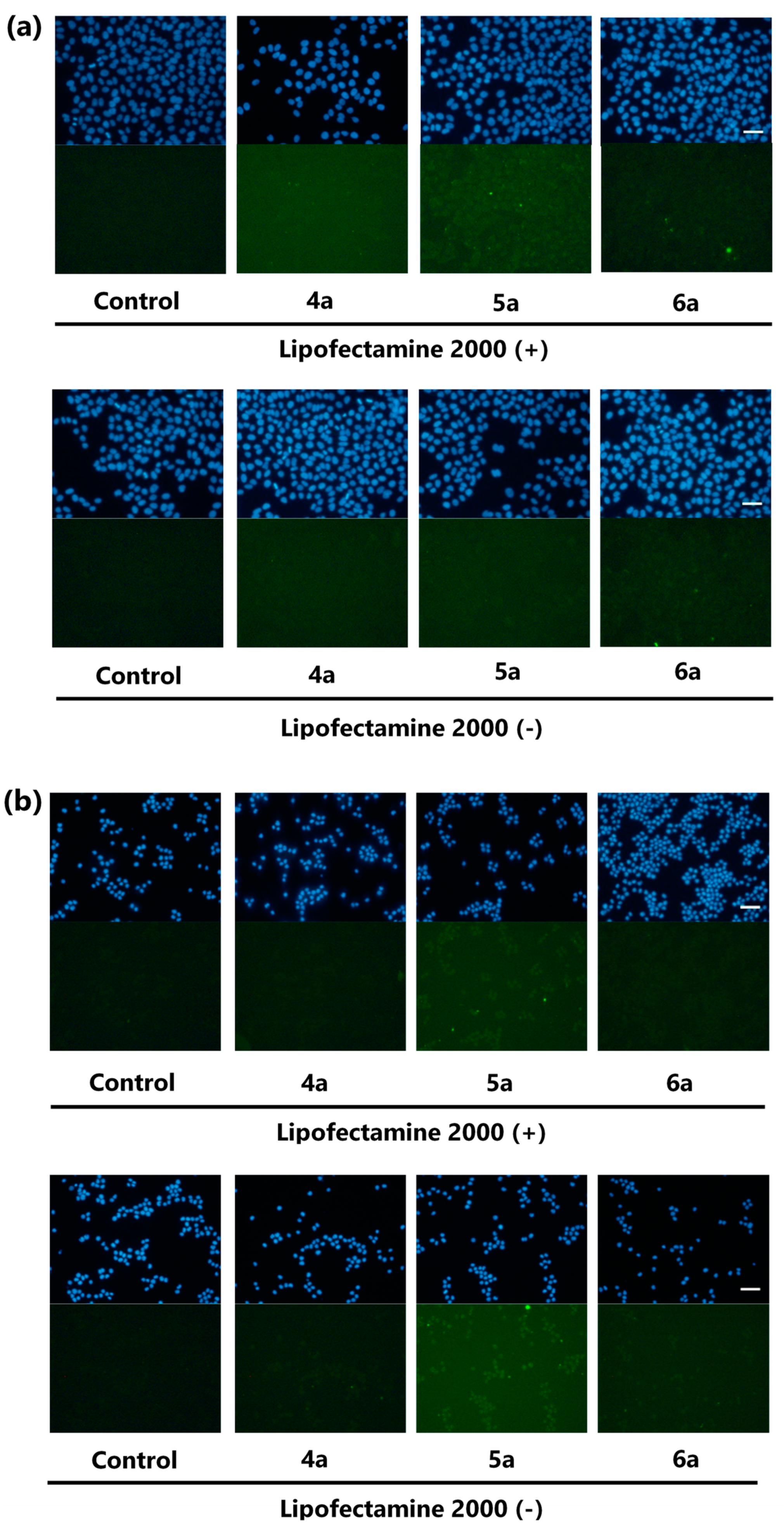 Marinedrugs 19 00076 g002