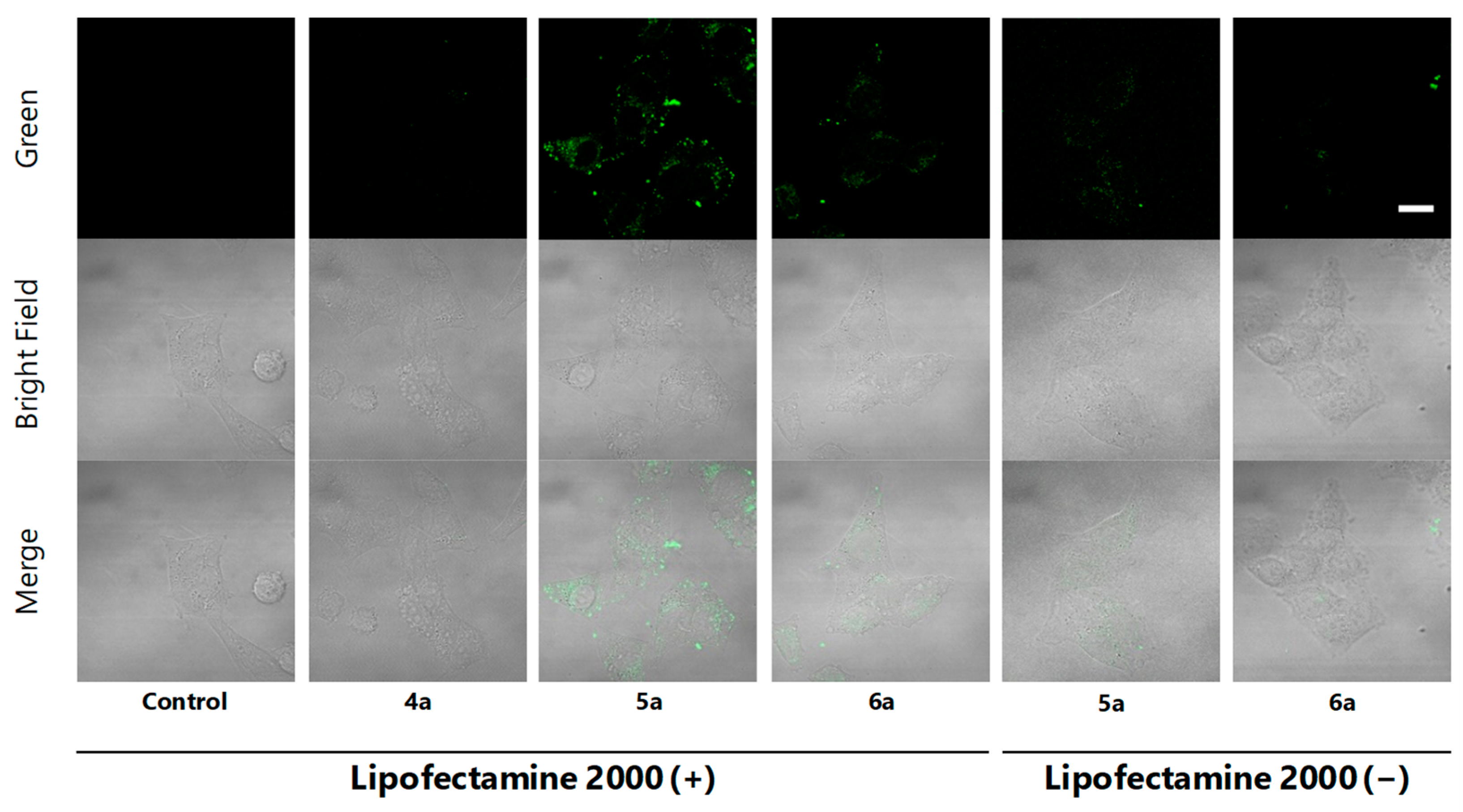 Marinedrugs 19 00076 g003