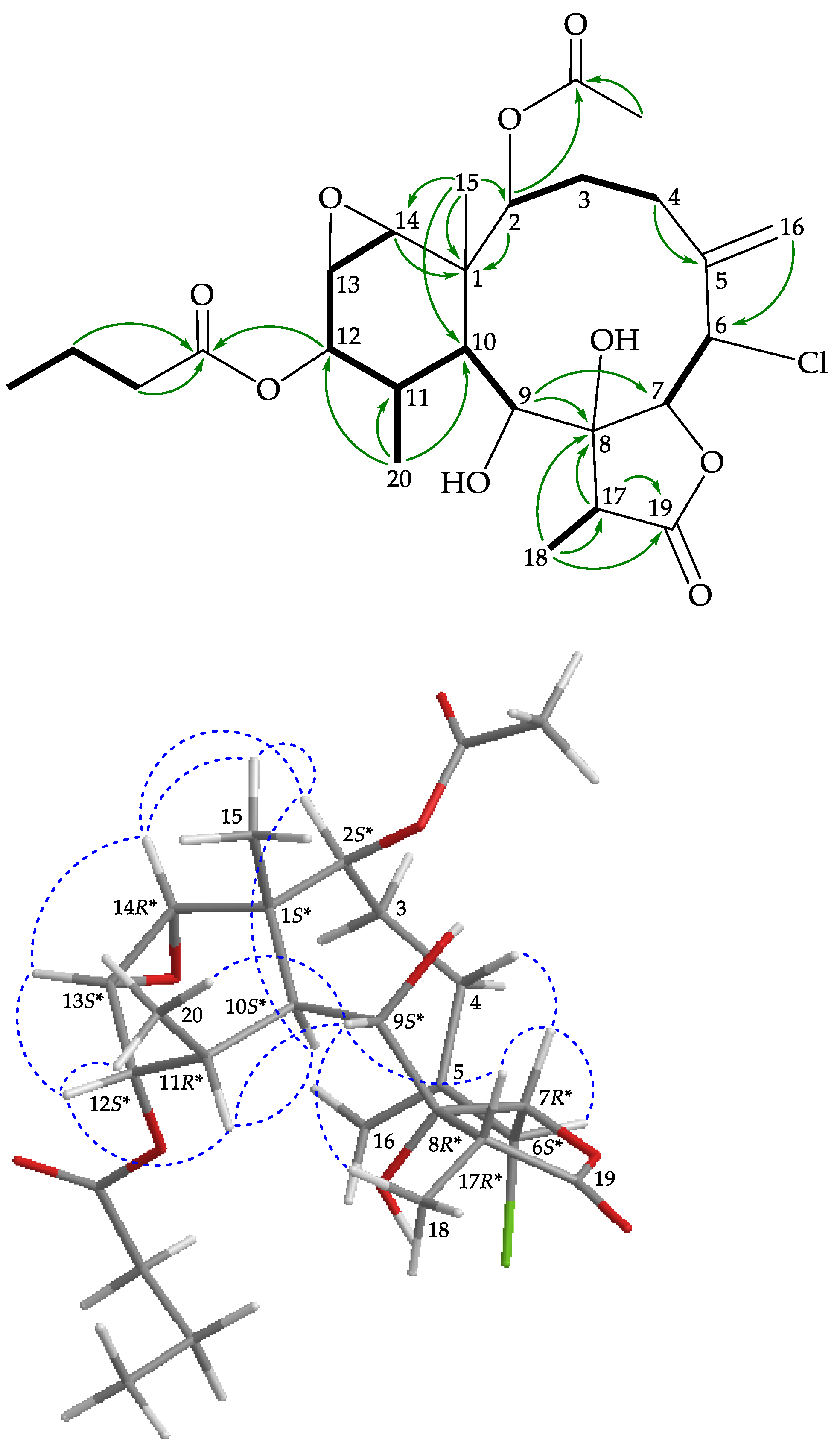 Marinedrugs 19 00077 g003