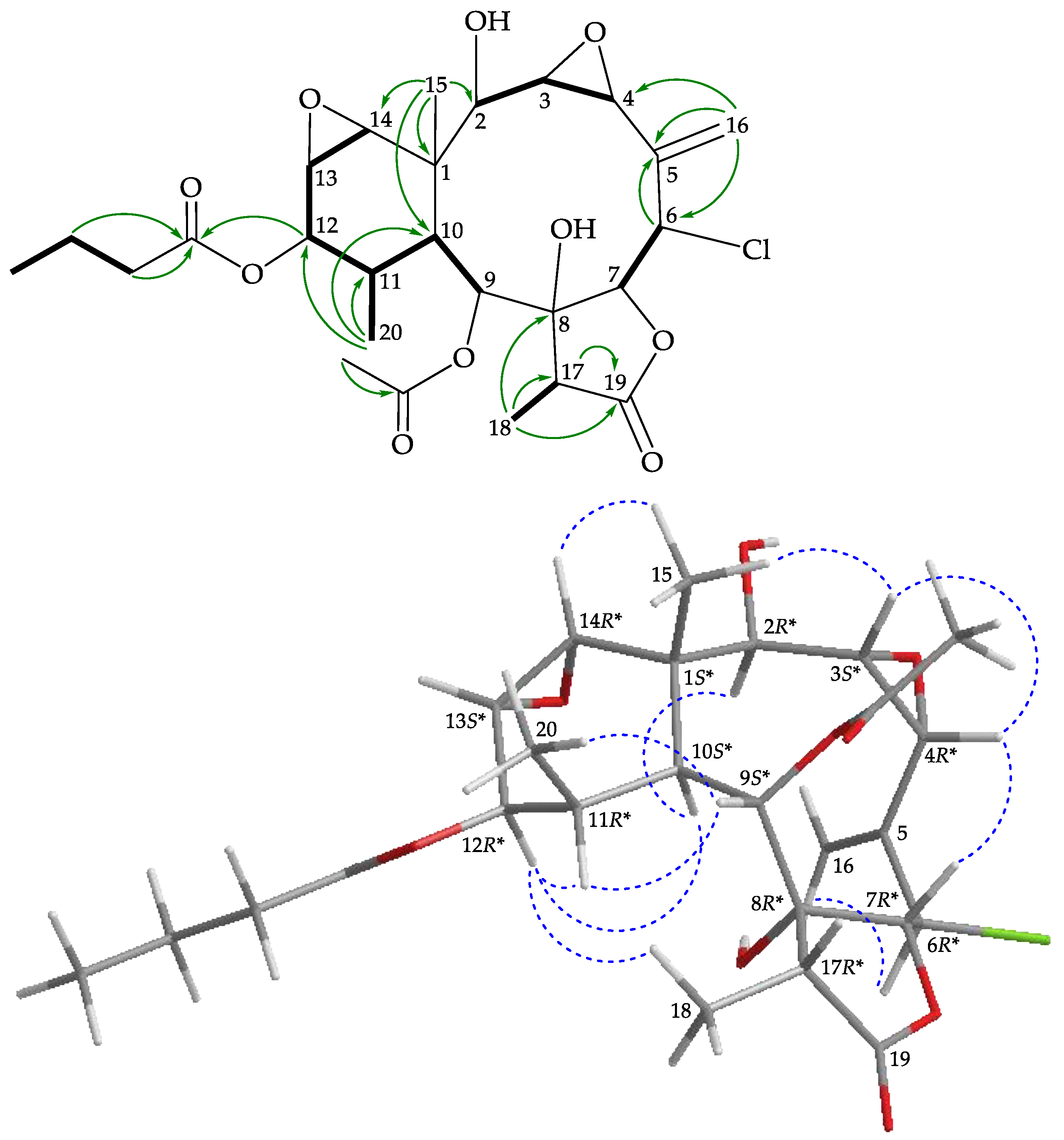 Marinedrugs 19 00077 g005