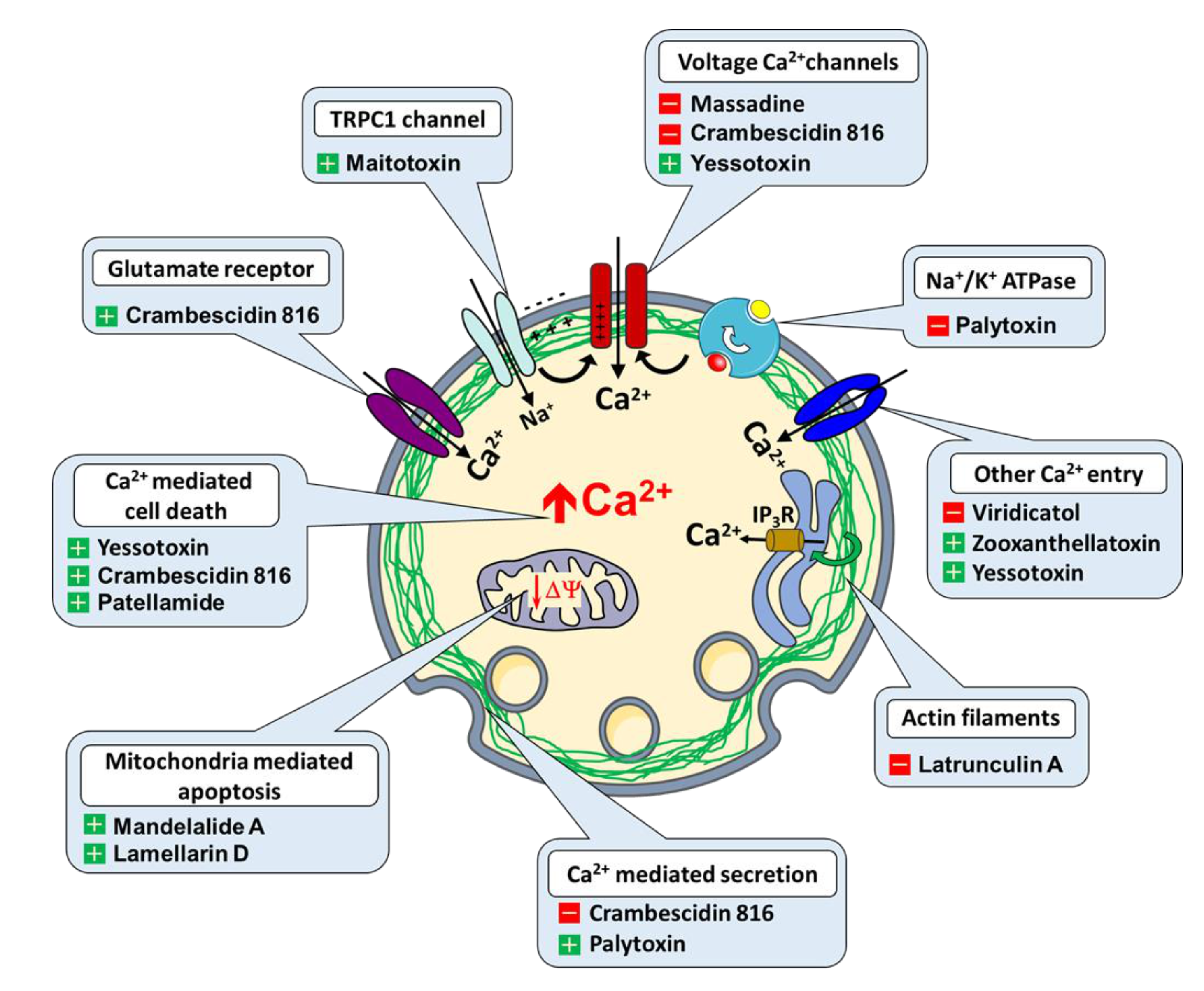 Marinedrugs 19 00078 g001 Marinedrugs 19 00078 g001
