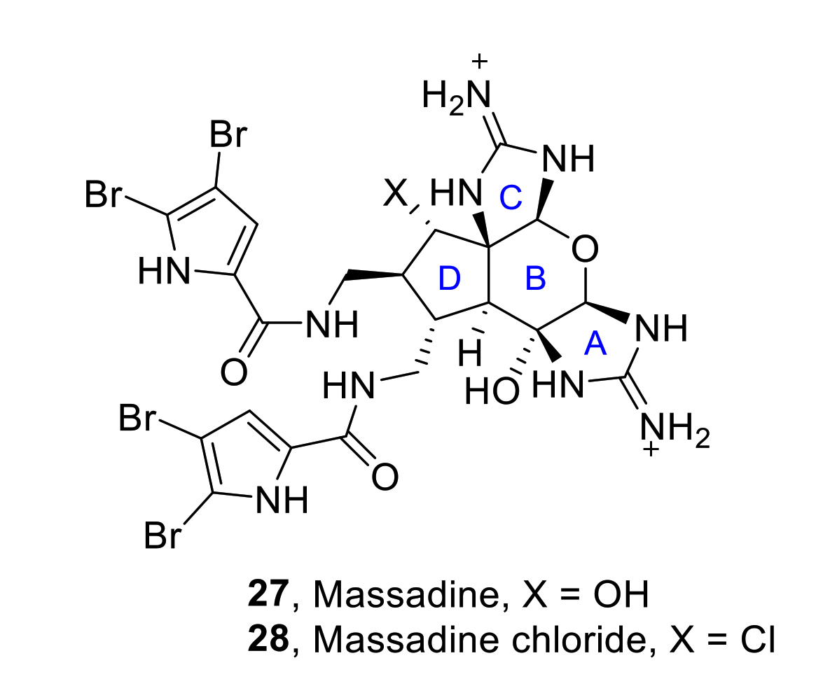 Marinedrugs 19 00078 g005 Marinedrugs 19 00078 g005