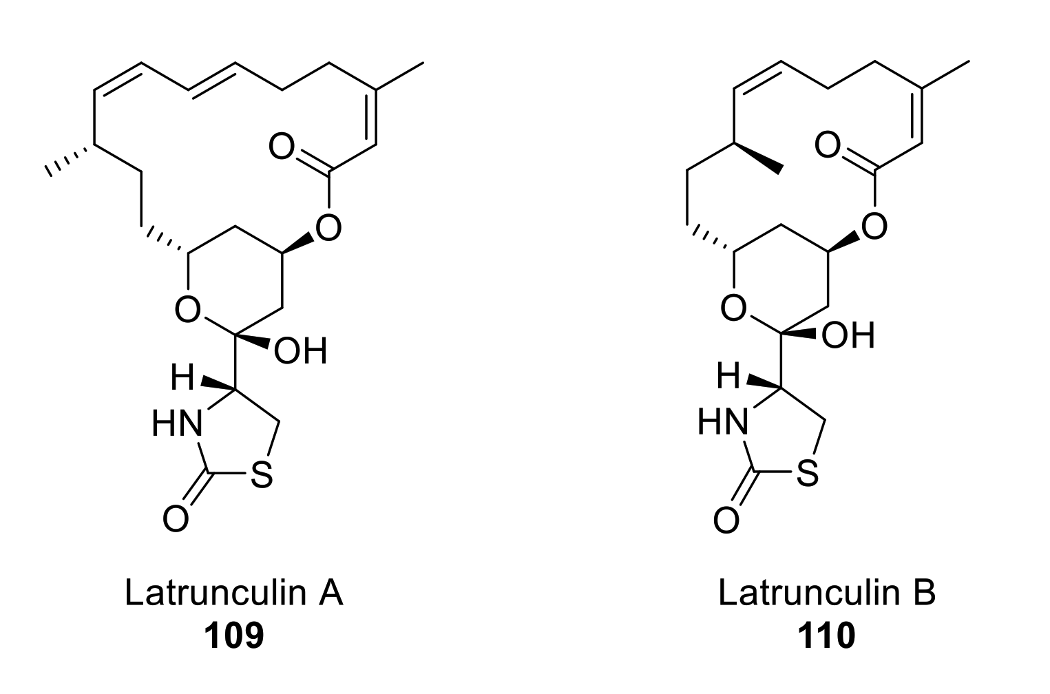 Marinedrugs 19 00078 g010 Marinedrugs 19 00078 g010