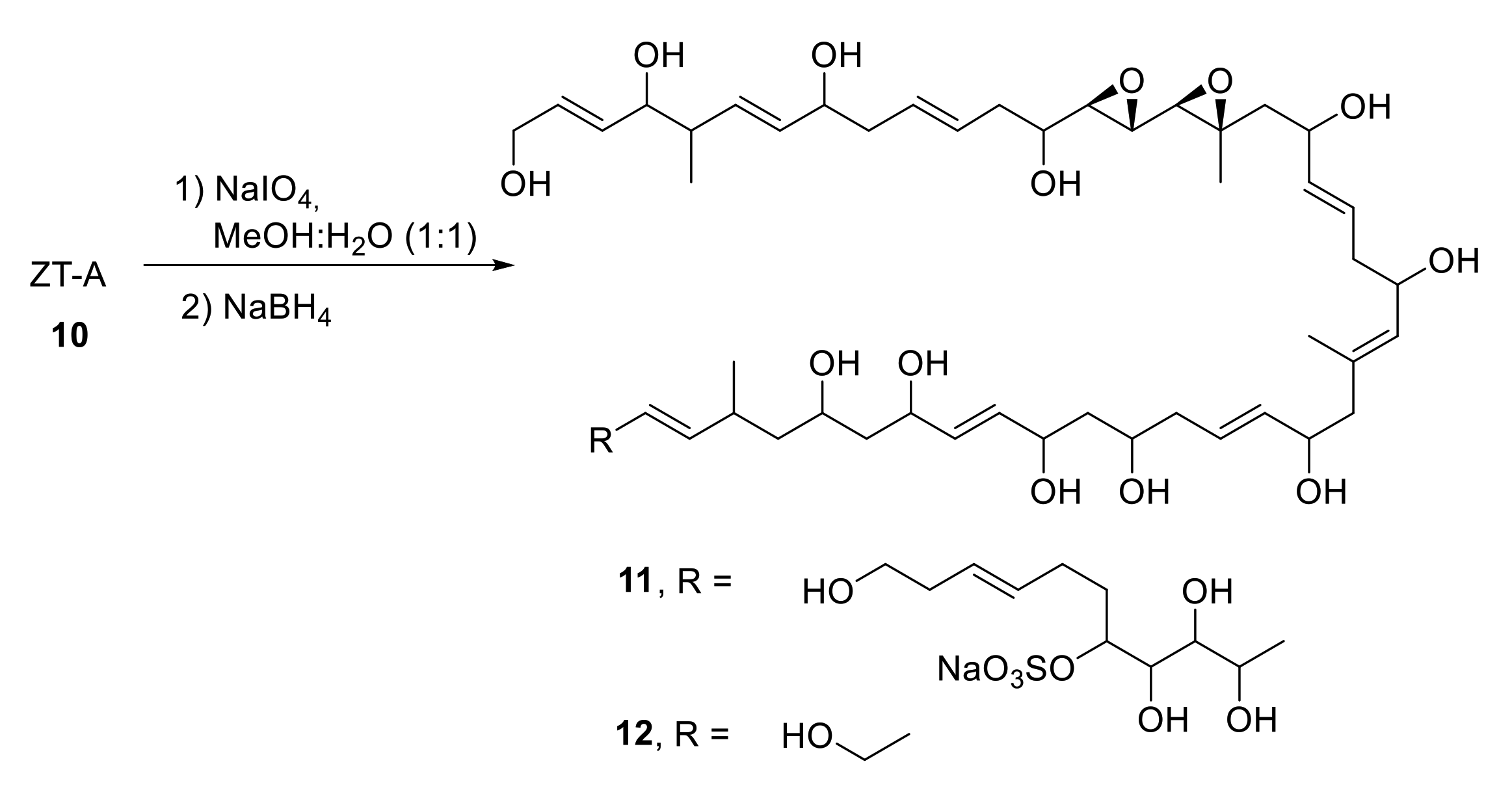 Marinedrugs 19 00078 sch004 Marinedrugs 19 00078 sch004