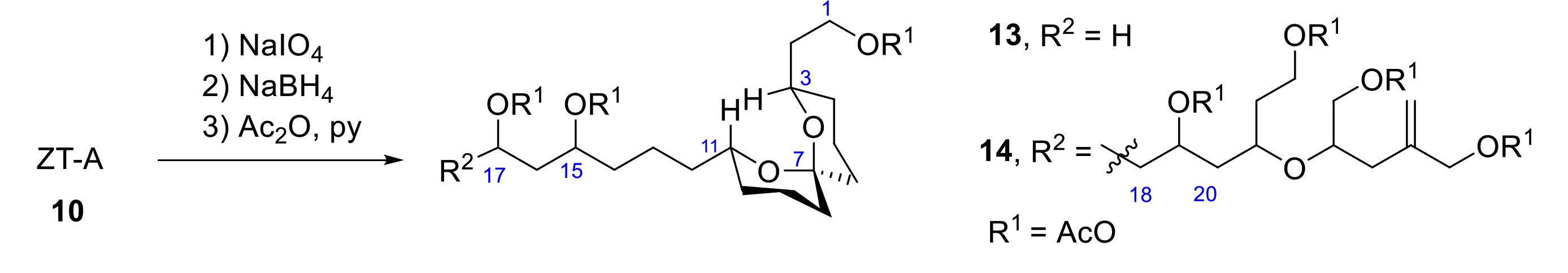 Marinedrugs 19 00078 sch005 Marinedrugs 19 00078 sch005