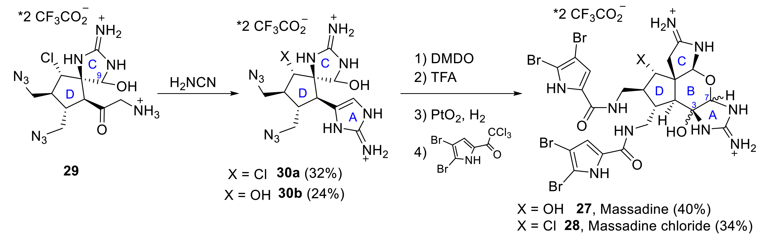 Marinedrugs 19 00078 sch009 Marinedrugs 19 00078 sch009