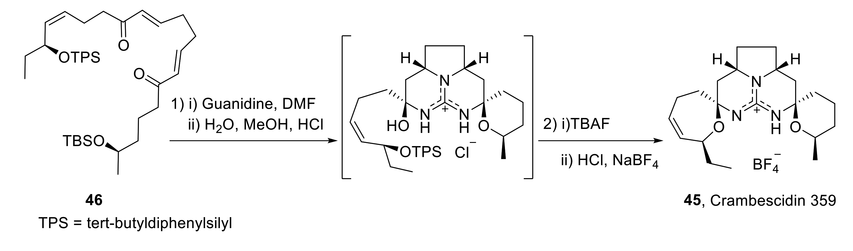 Marinedrugs 19 00078 sch013 Marinedrugs 19 00078 sch013