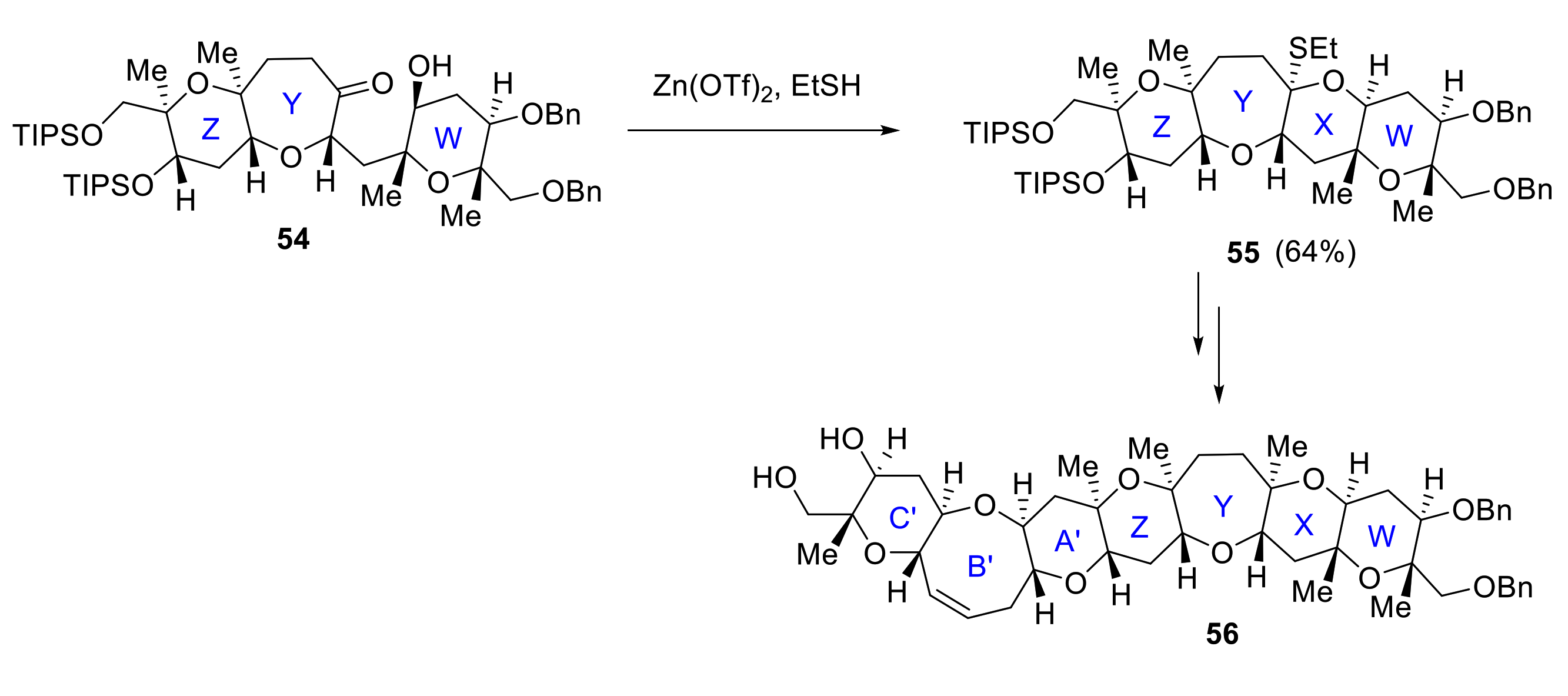 Marinedrugs 19 00078 sch016 Marinedrugs 19 00078 sch016