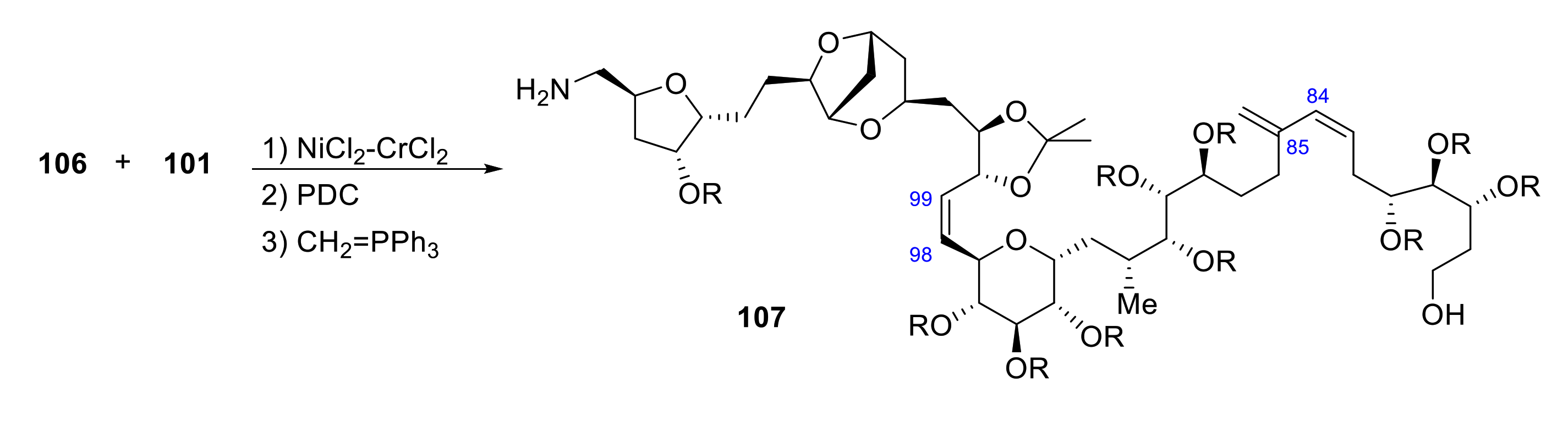 Marinedrugs 19 00078 sch029 Marinedrugs 19 00078 sch029