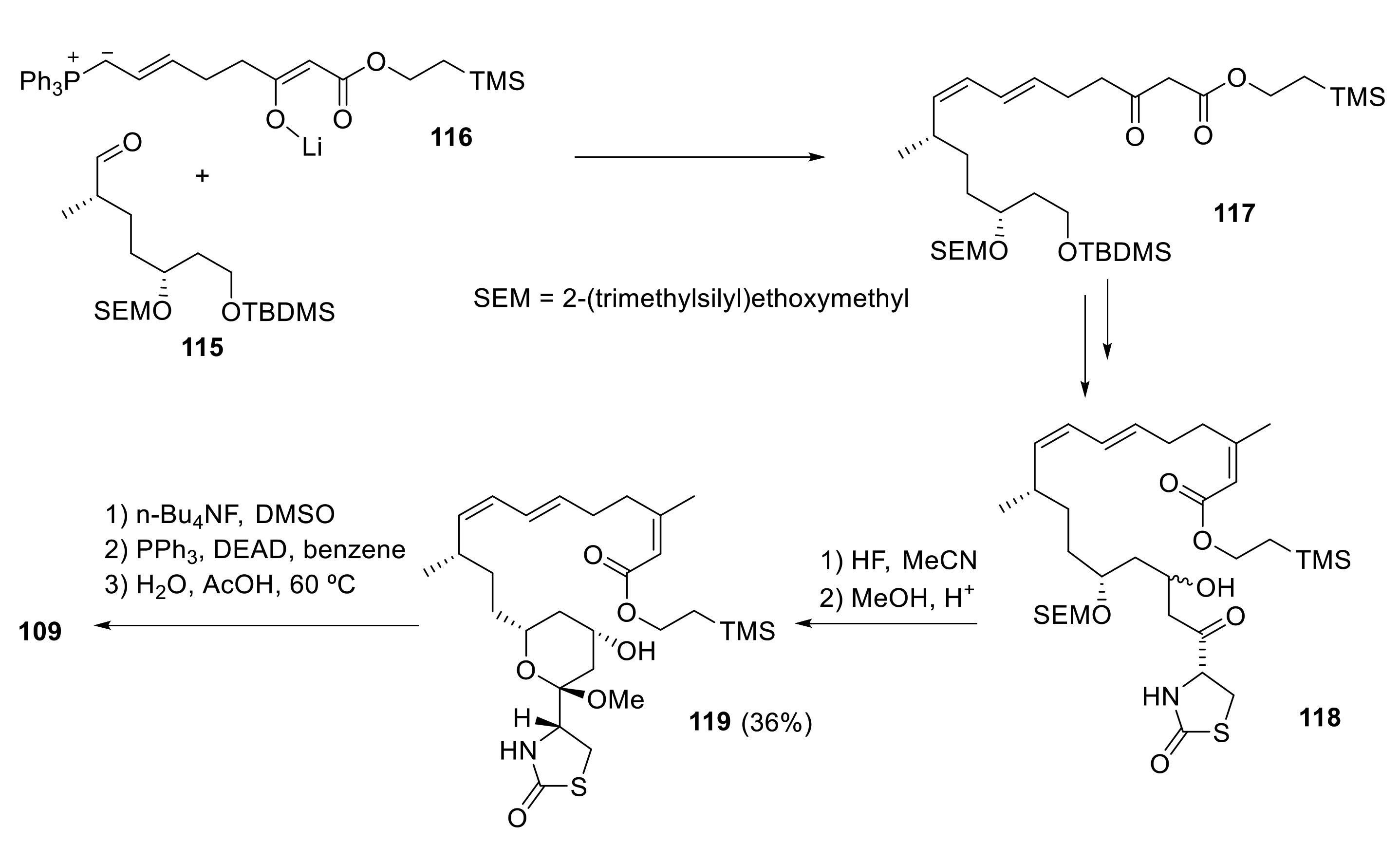 Marinedrugs 19 00078 sch033 Marinedrugs 19 00078 sch033