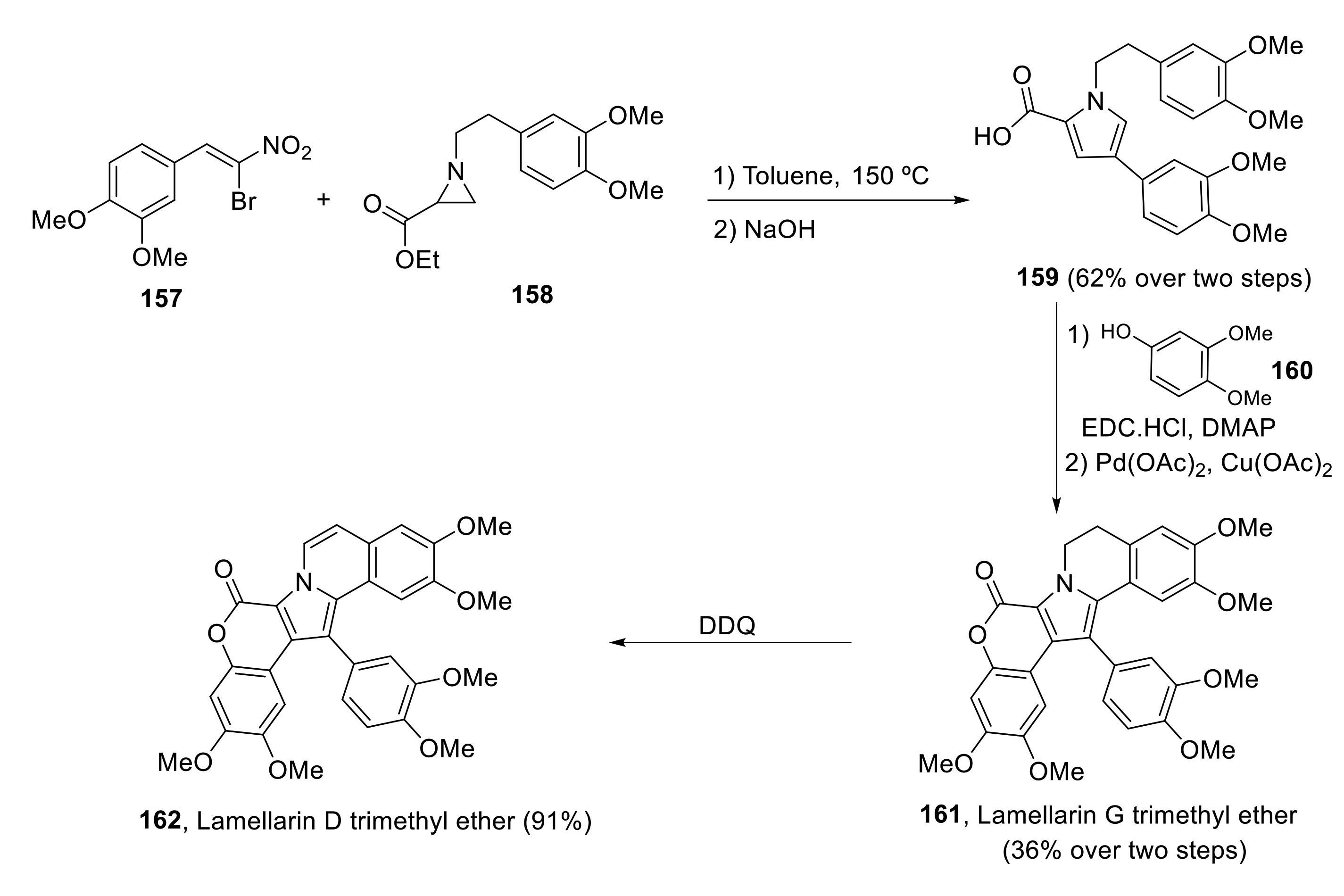 Marinedrugs 19 00078 sch042 Marinedrugs 19 00078 sch042