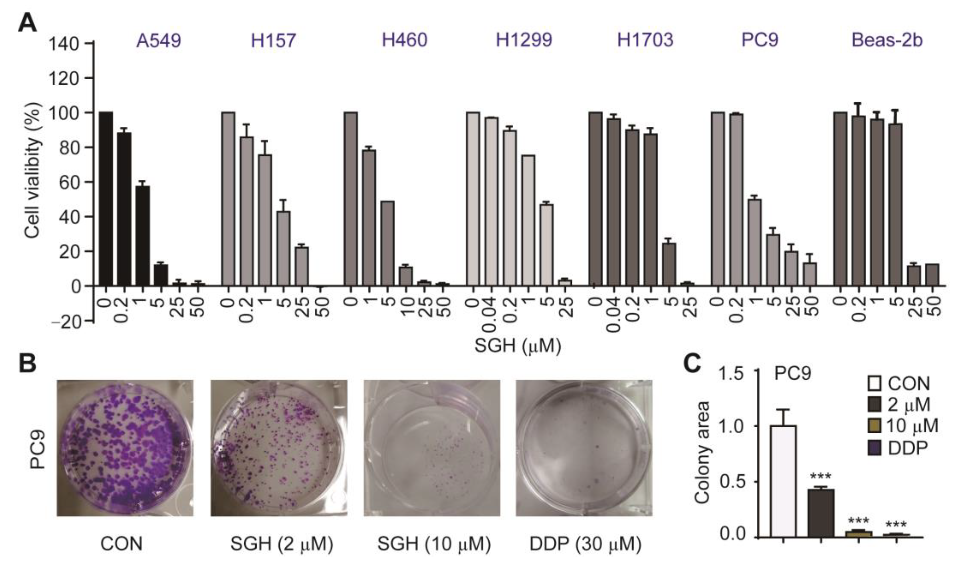 Marinedrugs 19 00079 g001 Marinedrugs 19 00079 g001