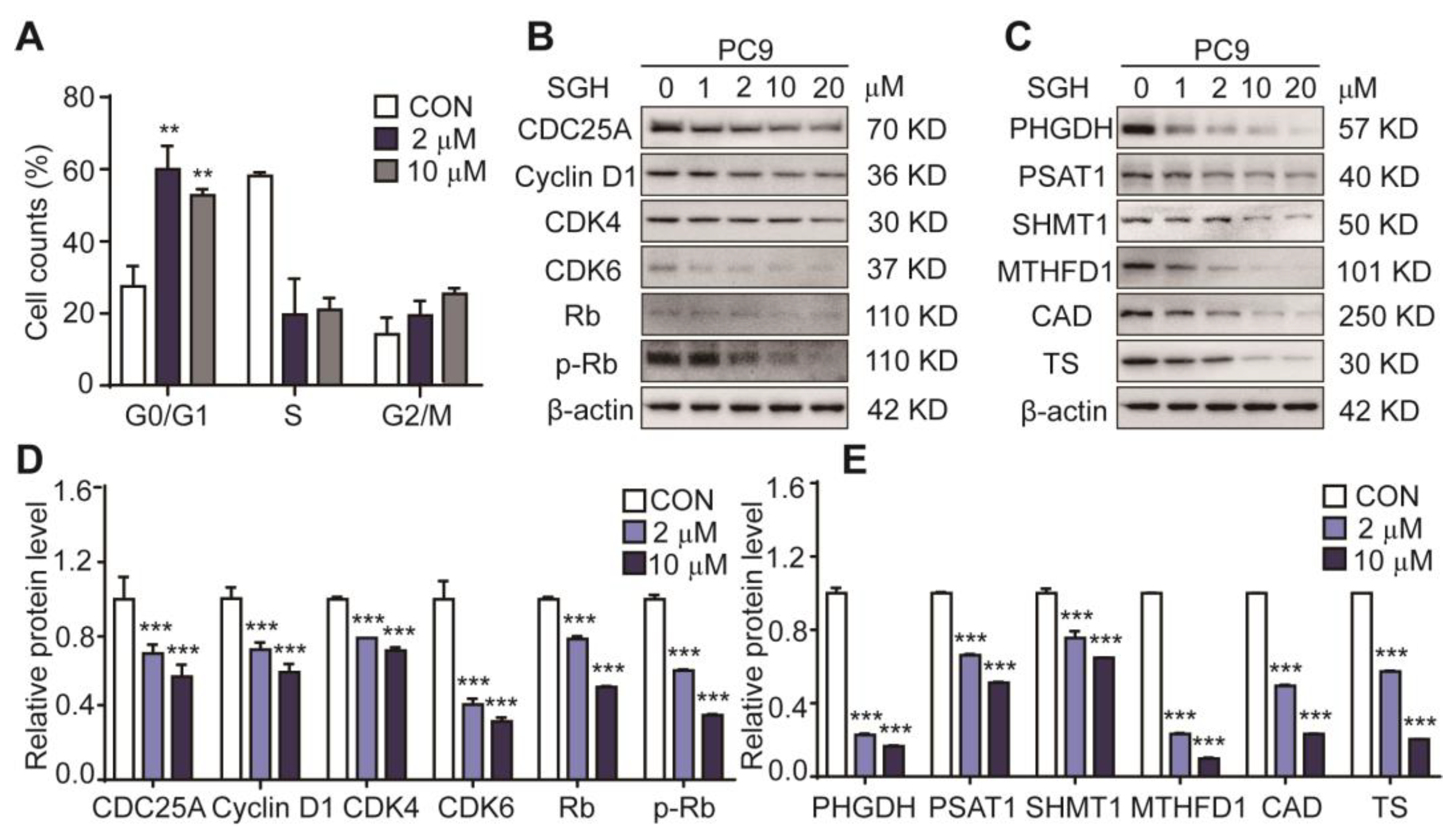Marinedrugs 19 00079 g002 Marinedrugs 19 00079 g002