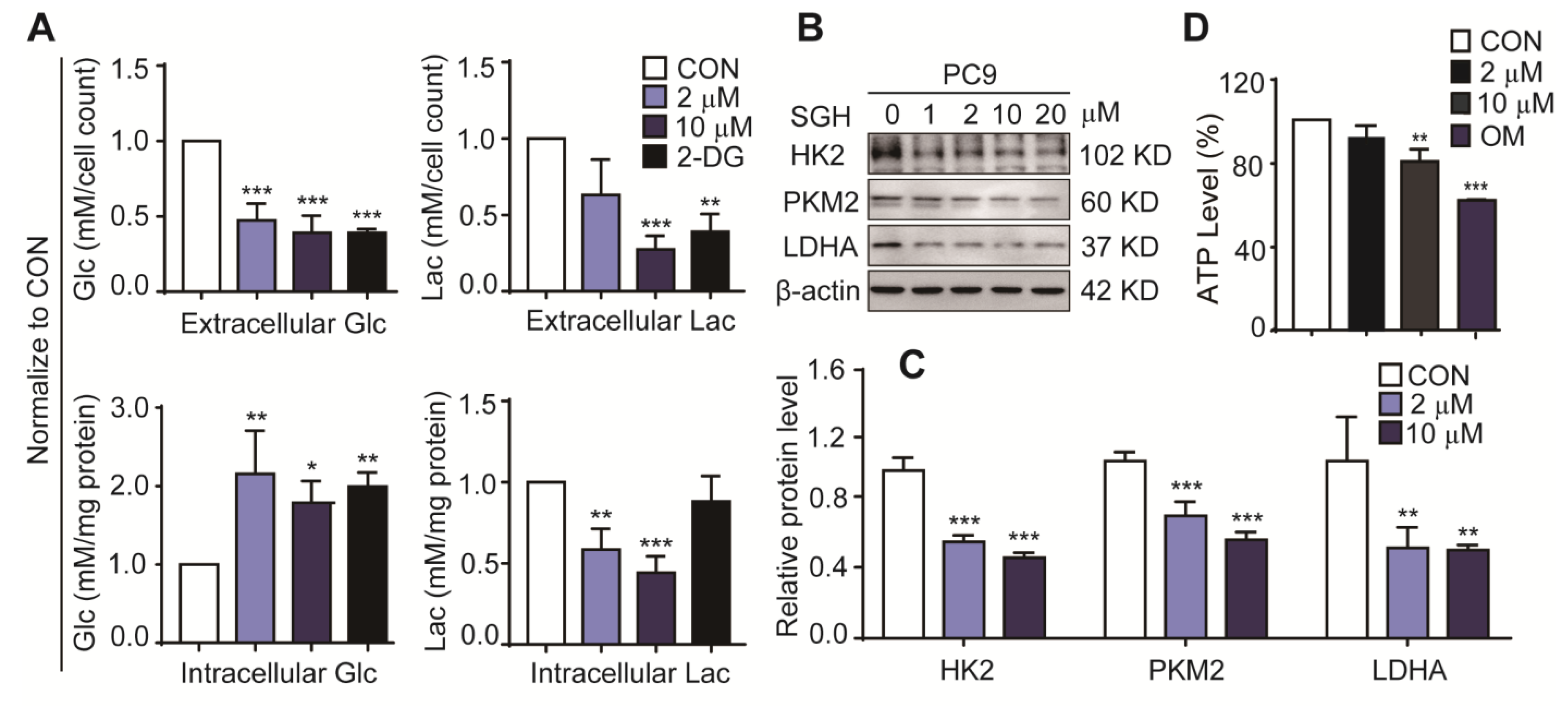 Marinedrugs 19 00079 g003 Marinedrugs 19 00079 g003