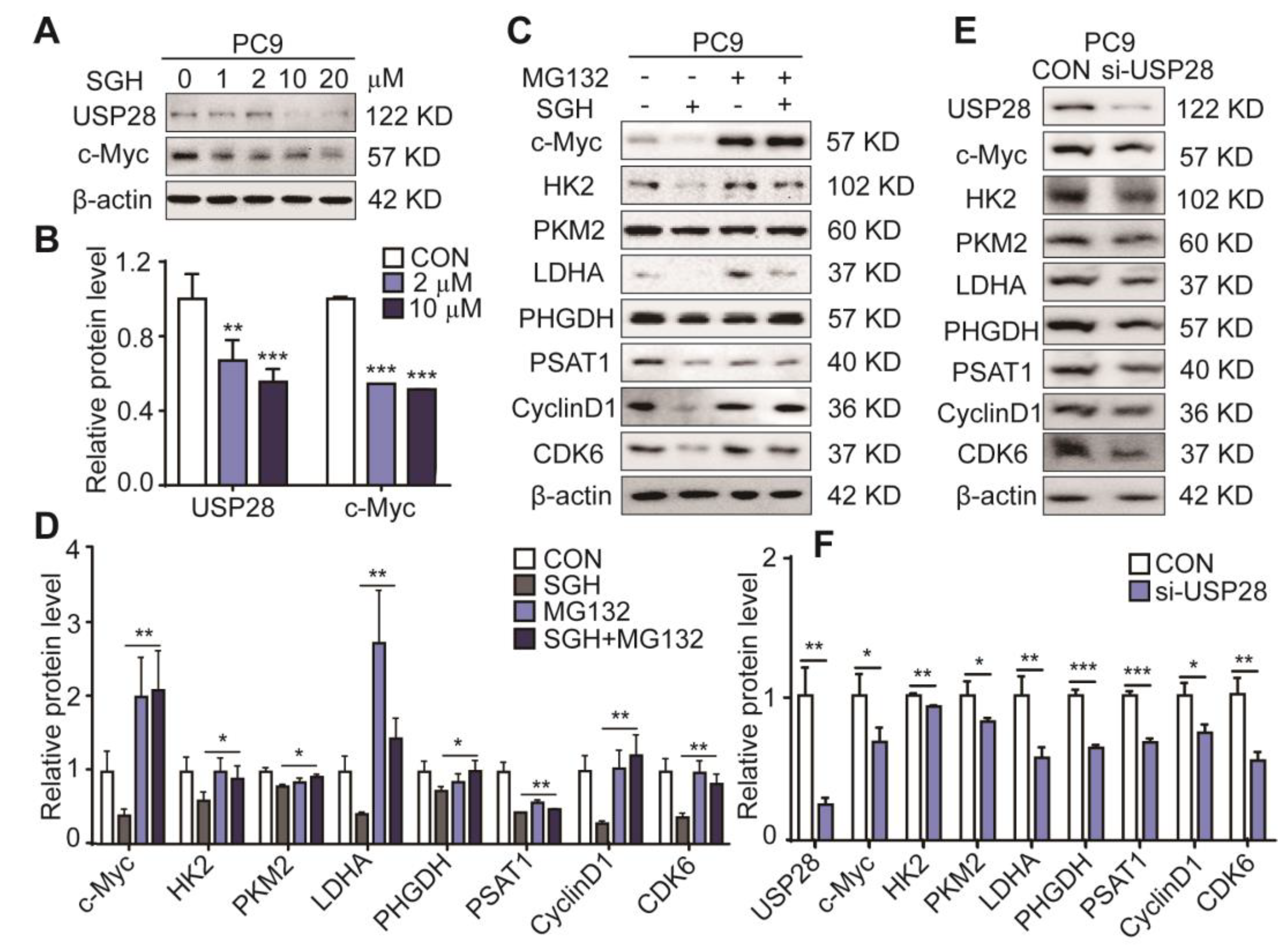 Marinedrugs 19 00079 g004 Marinedrugs 19 00079 g004