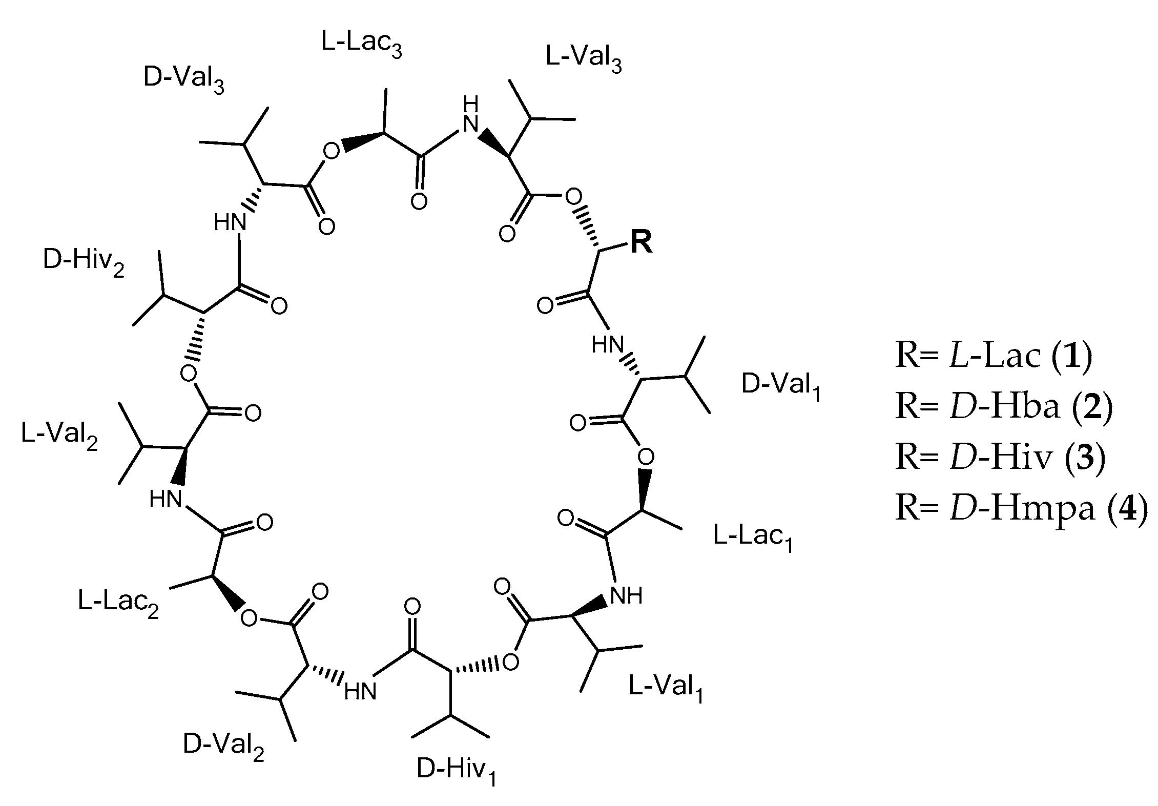 Marinedrugs 19 00081 g001