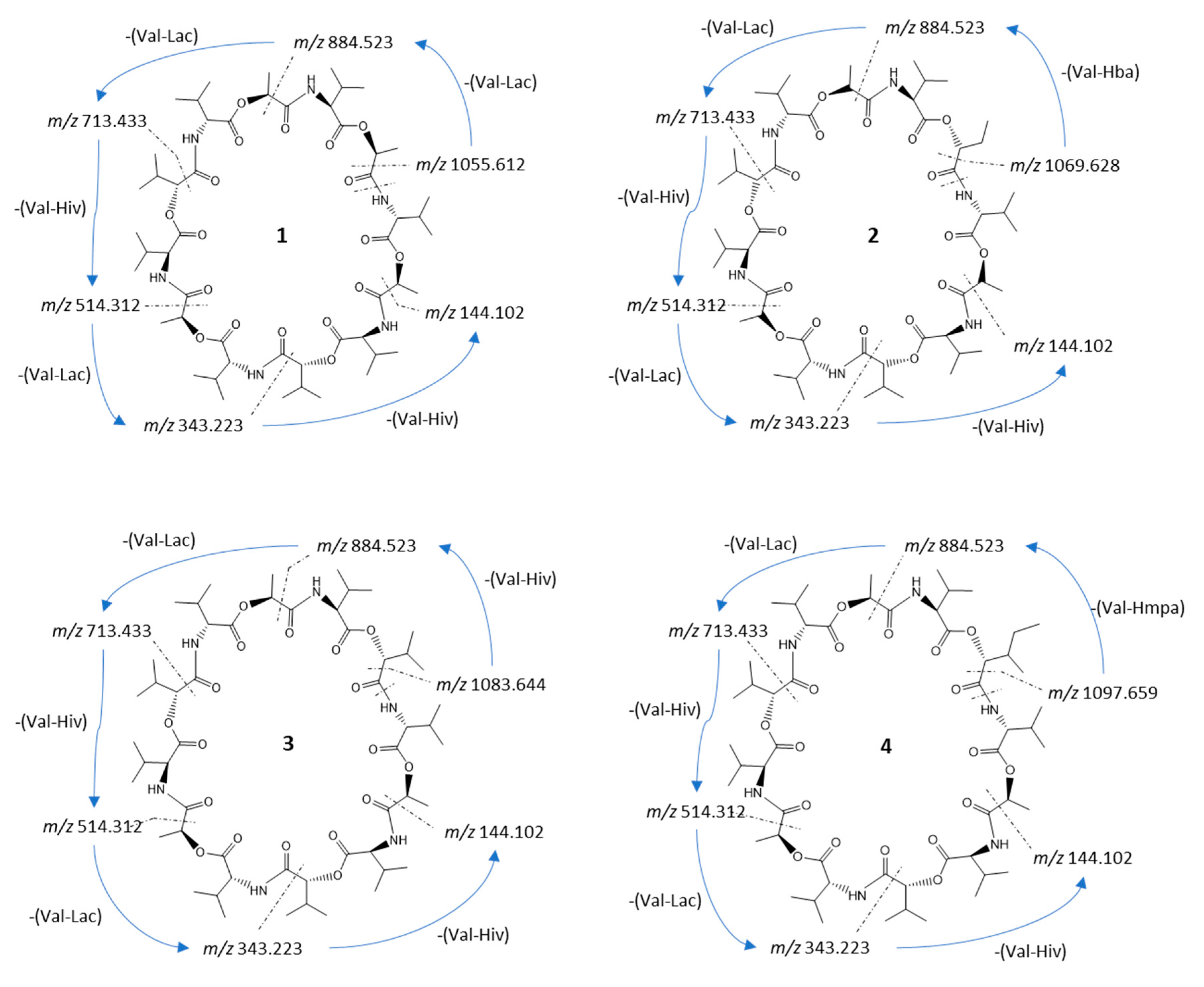 Marinedrugs 19 00081 g002