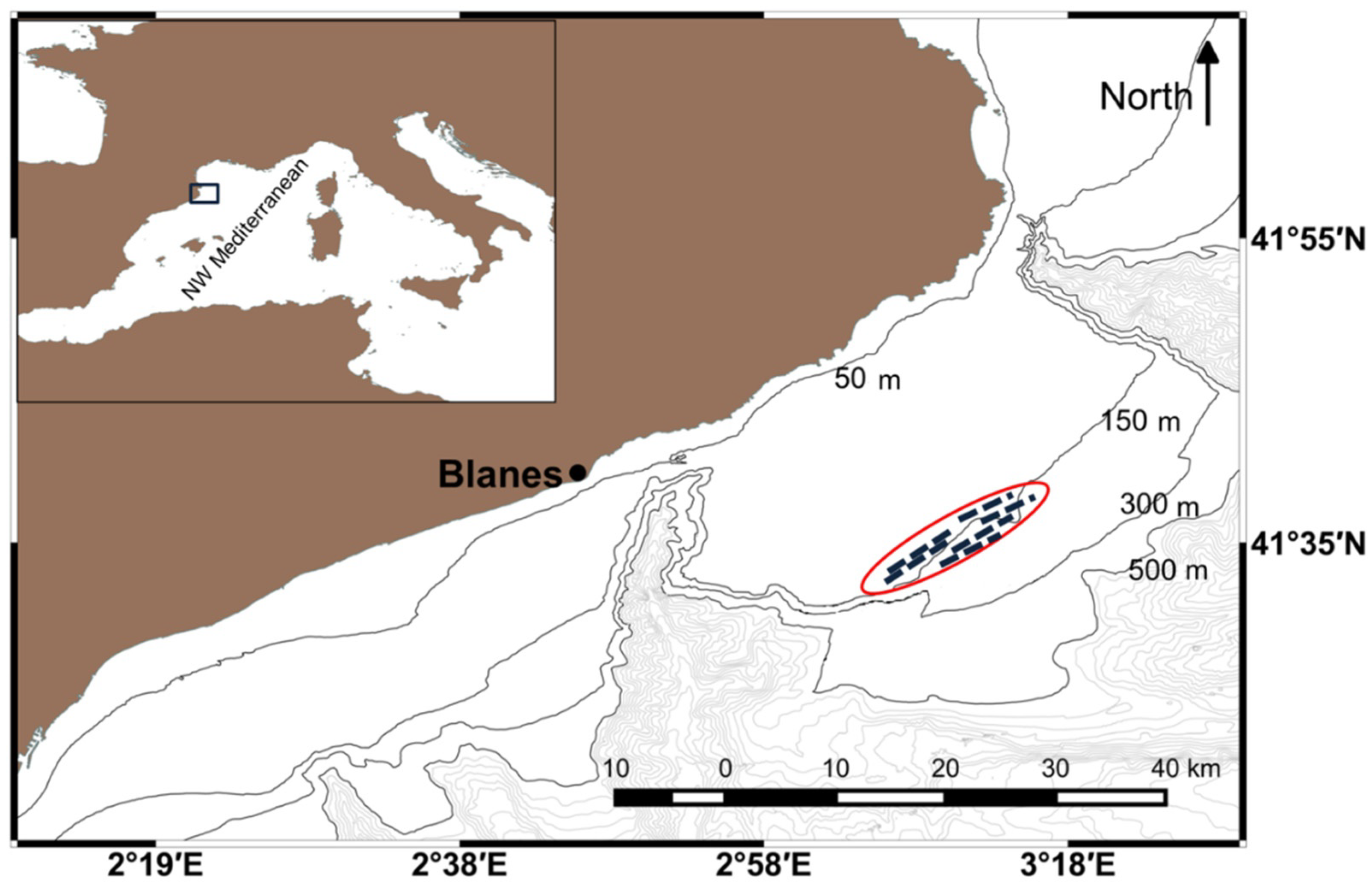 Marinedrugs 19 00083 g001