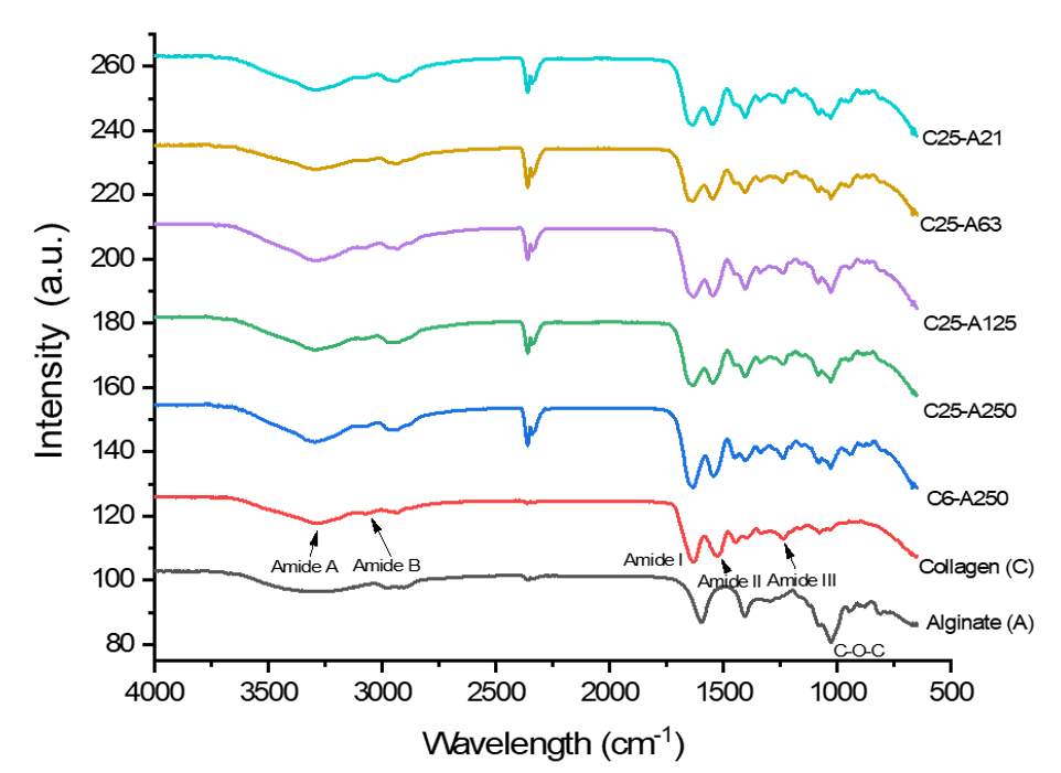 Marinedrugs 19 00085 g002